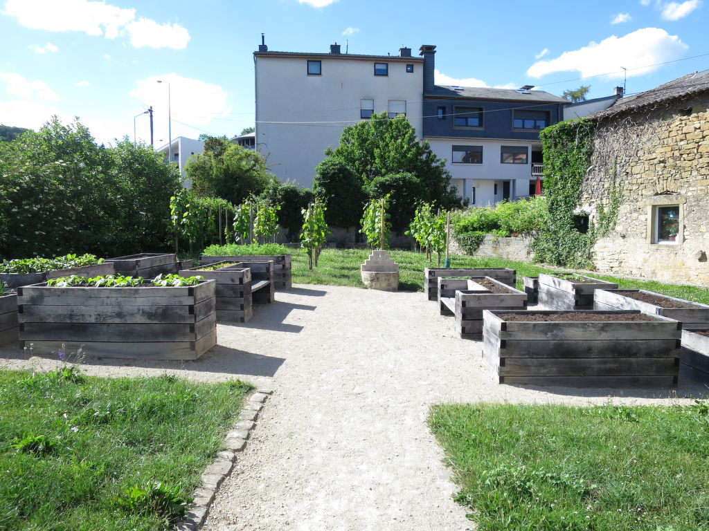Bild 17