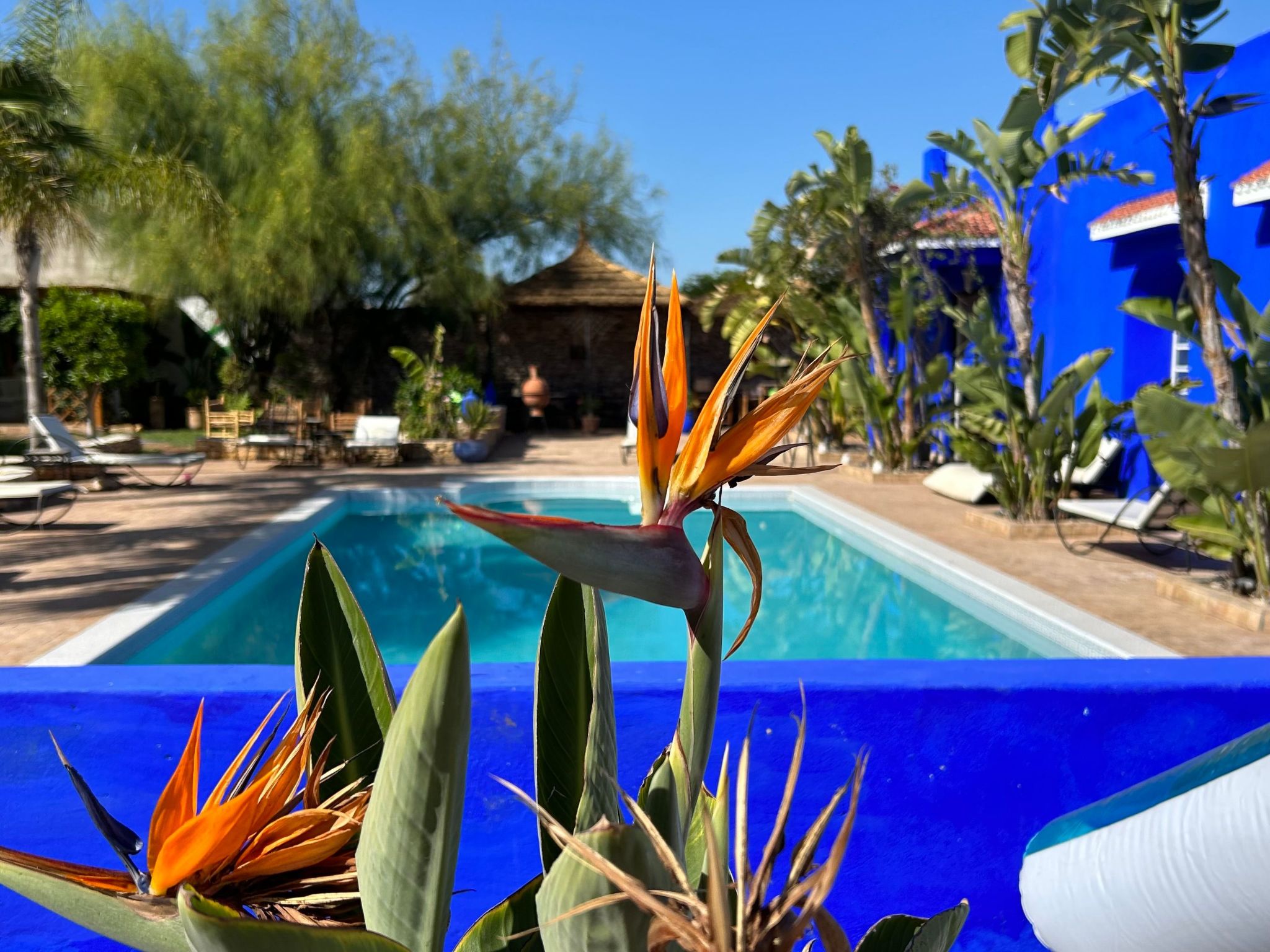 Photo of Domäne mit Garten, Grill und Terrasse