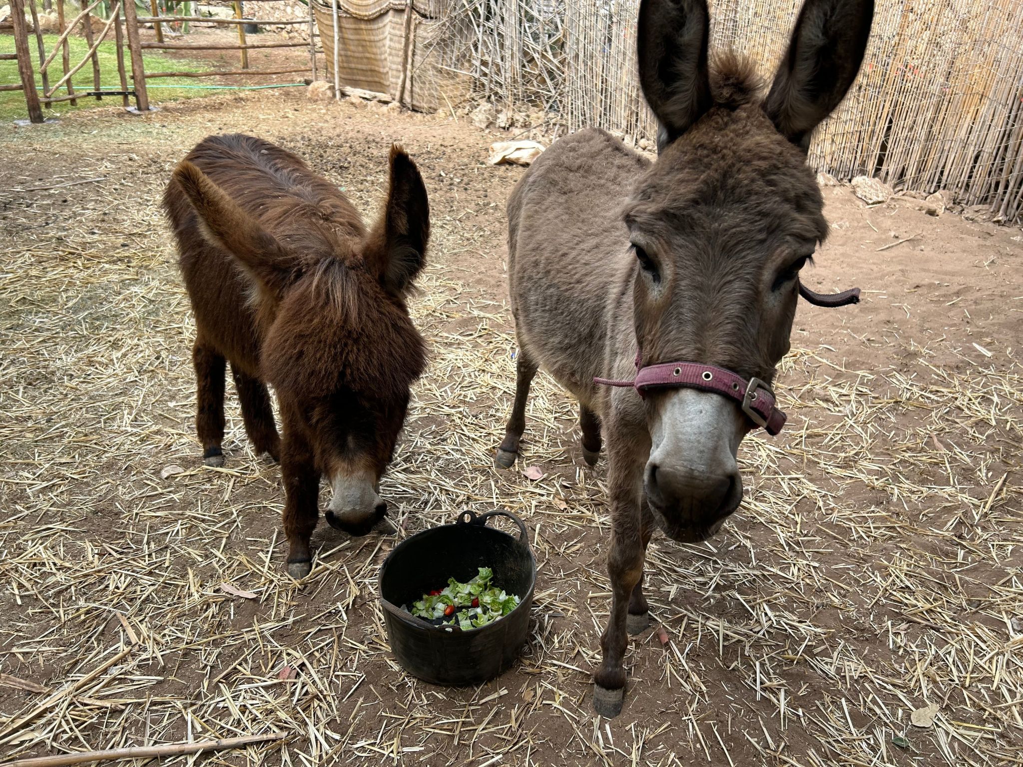 Photo of Domäne mit Garten, Grill und Terrasse