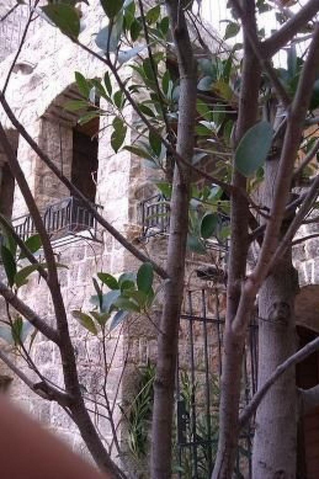 Villa Viktoria-Buiten