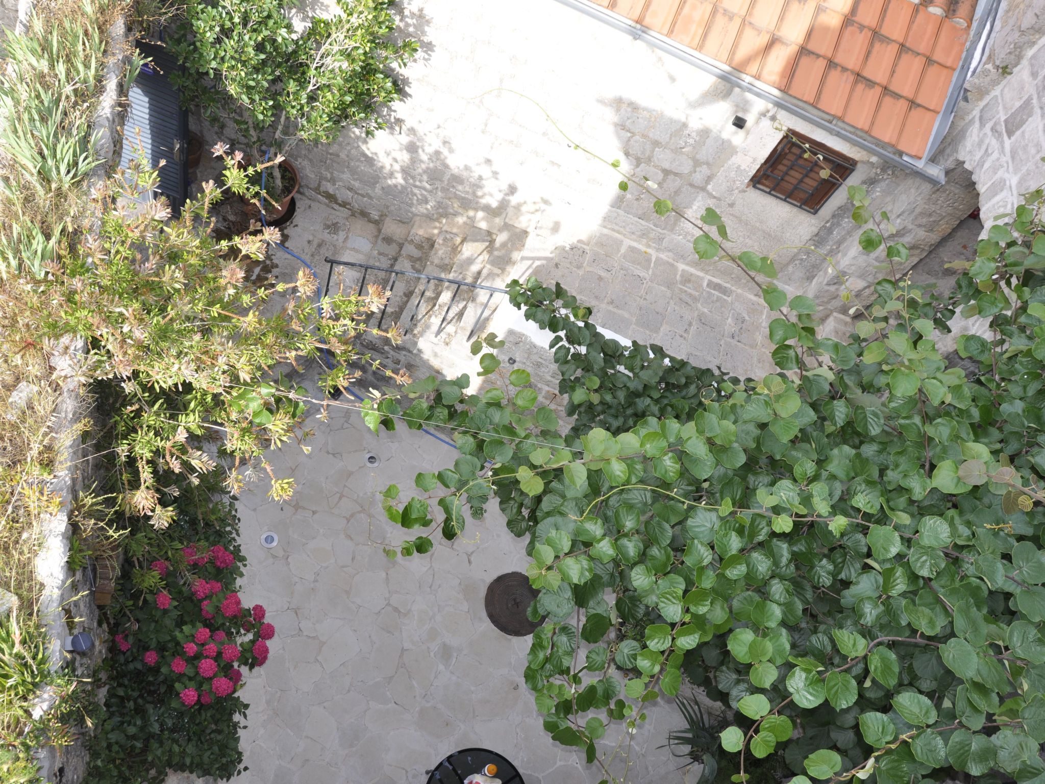 Villa Viktoria-Image-tags.info