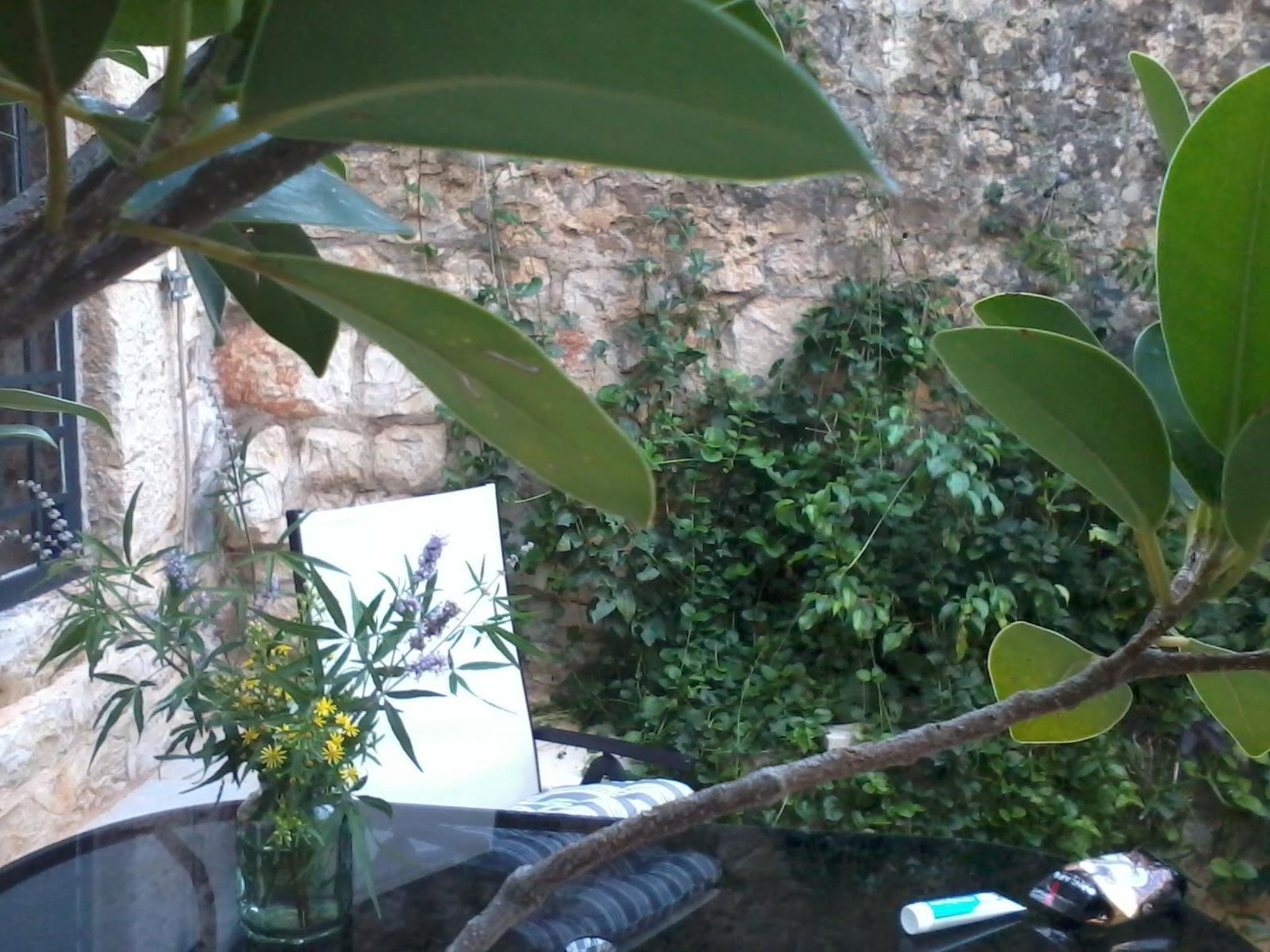 Villa Viktoria-Buiten