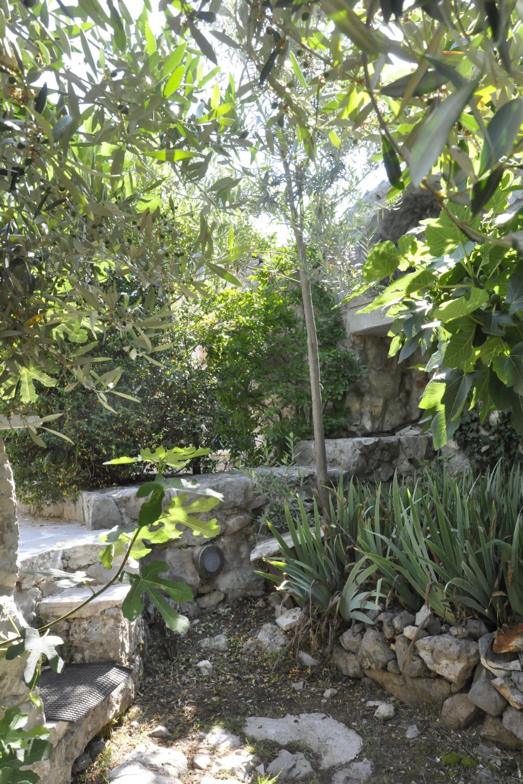 Villa Viktoria-Buiten