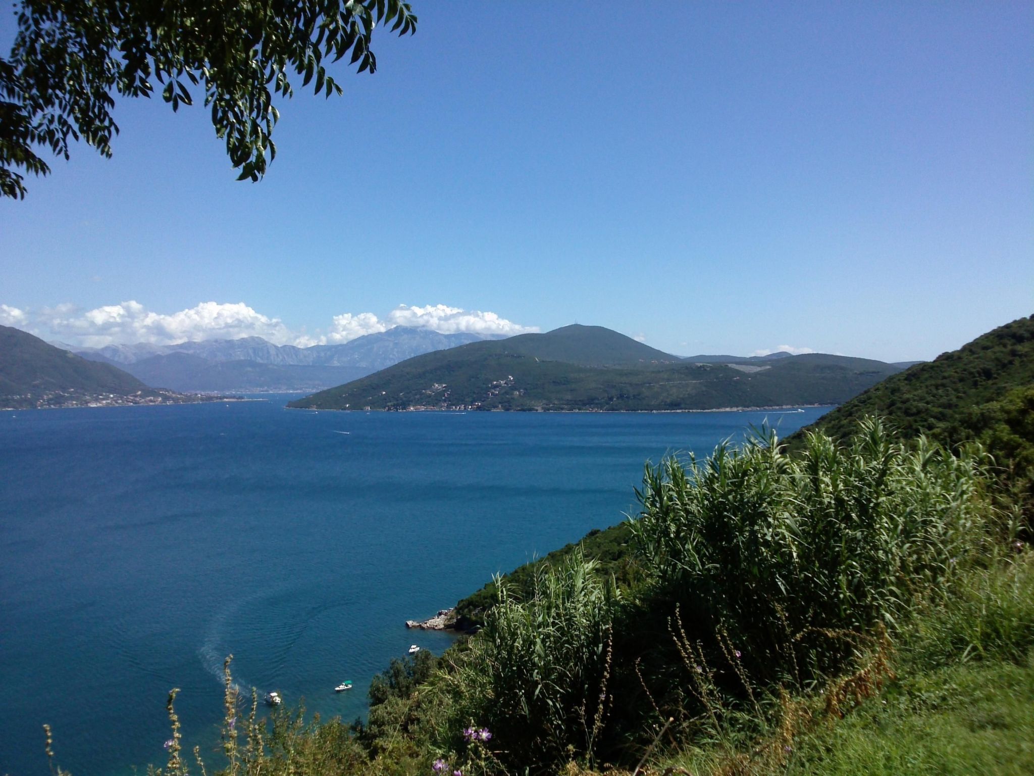 Villa Viktoria-Buiten