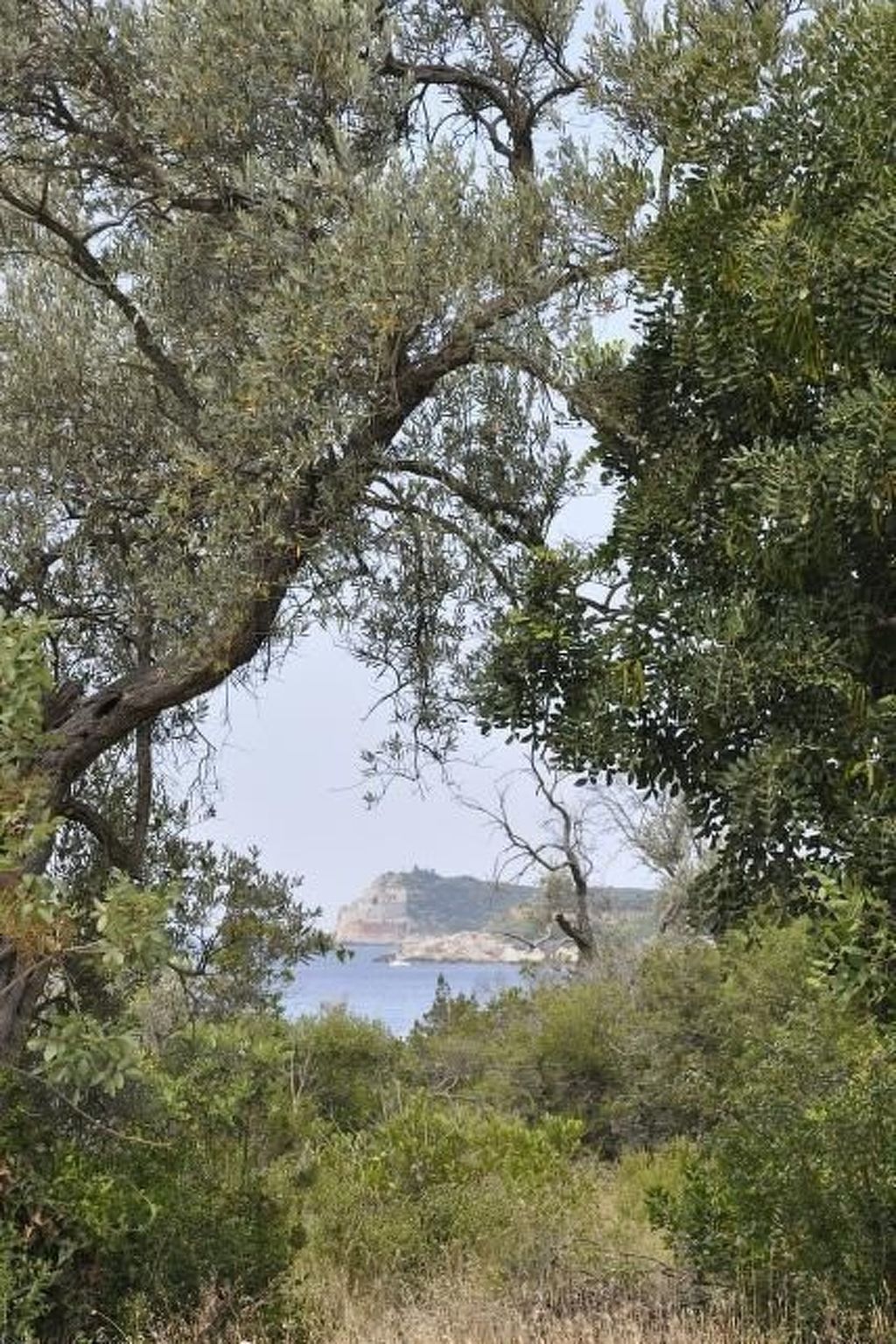 Villa Viktoria-Buiten