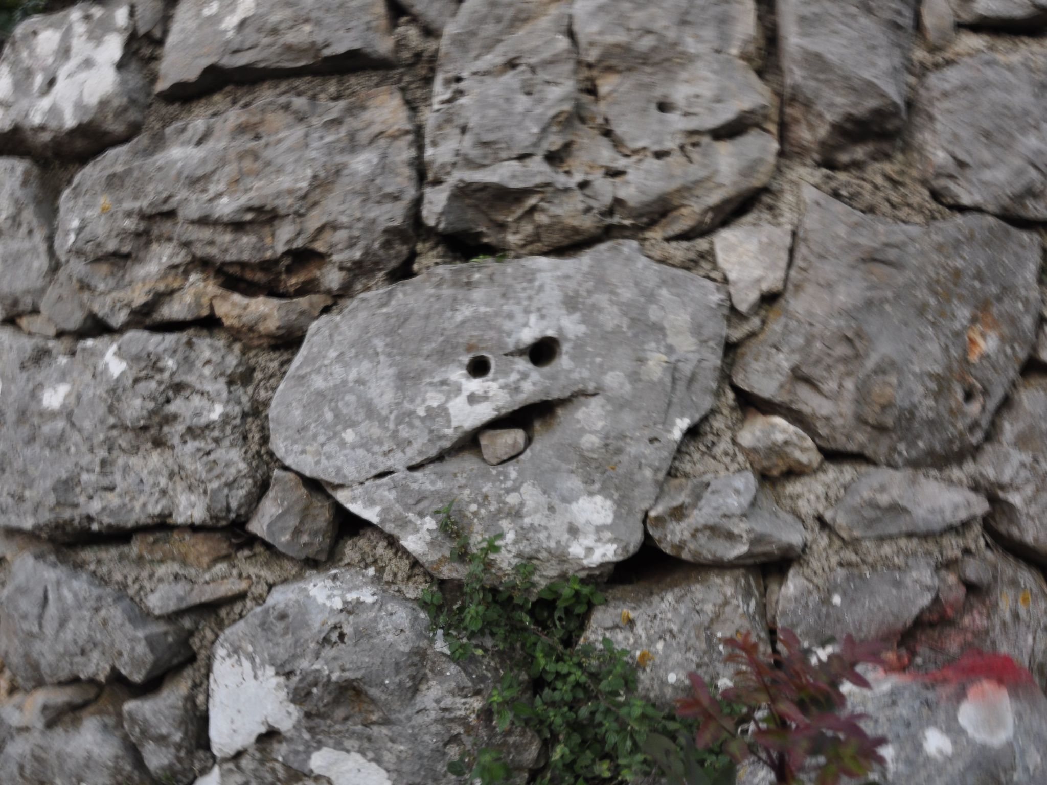 Villa Viktoria-Buiten