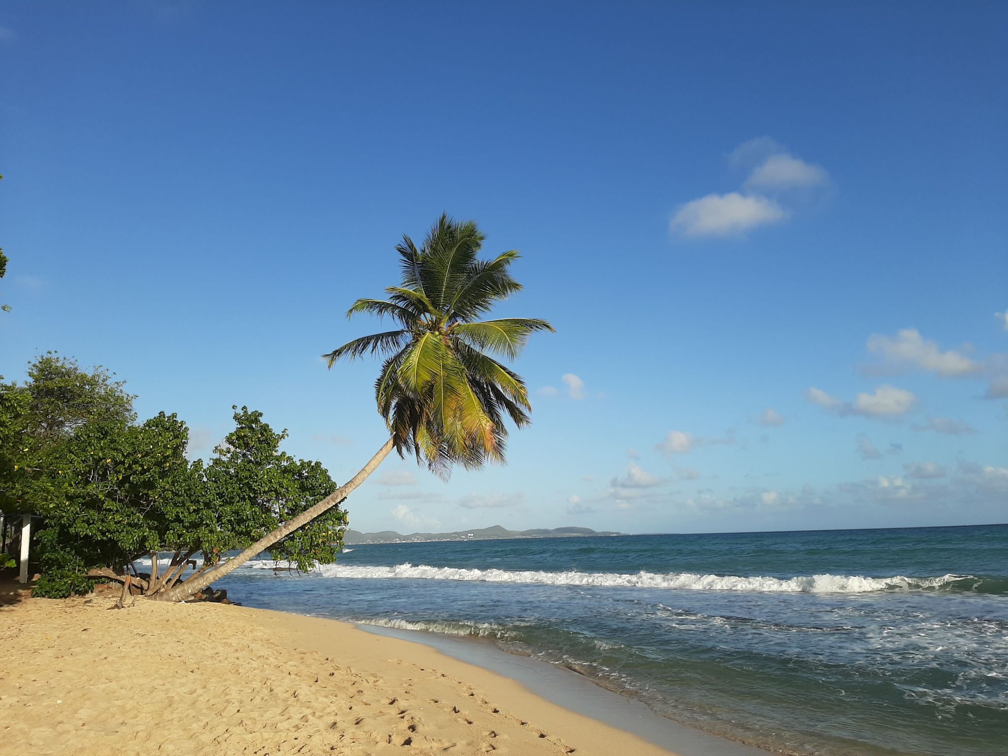 Appartment Le Marin mit Meerblick in Top Lage auf Martinique