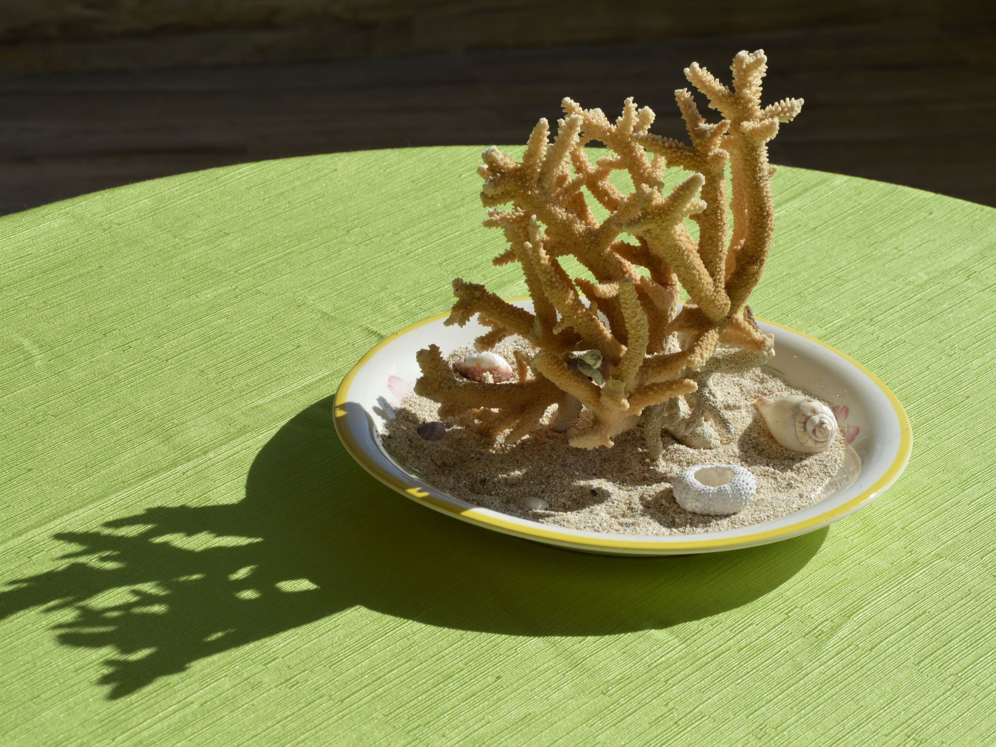 Photo of Appartement "Riverside" mit Blick auf das Wasser