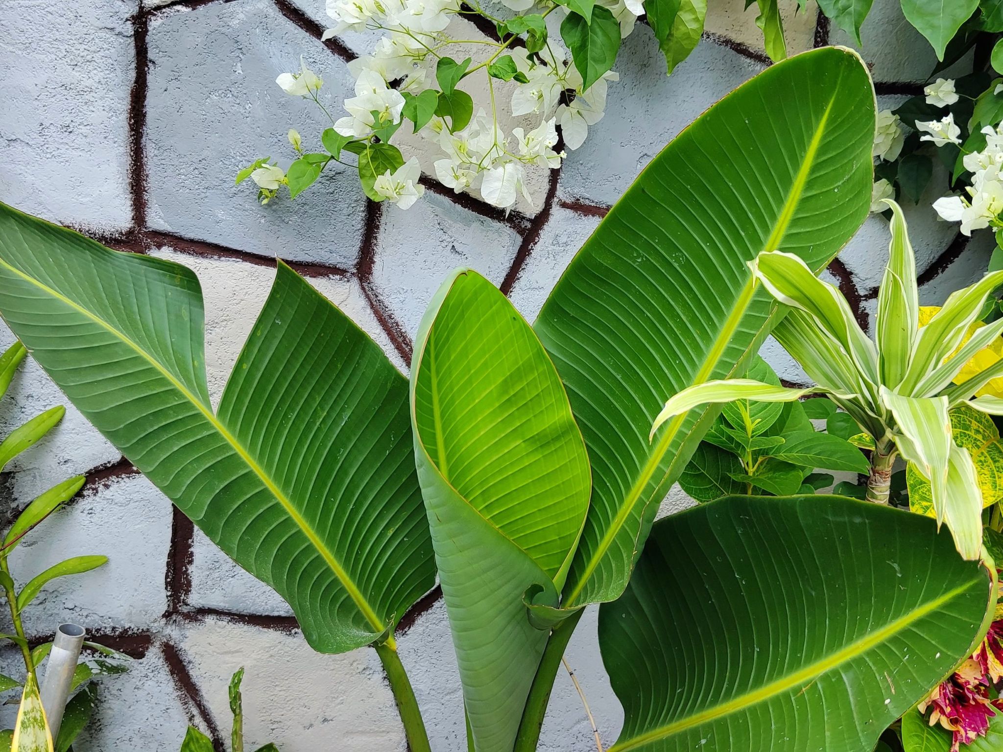 Photo of Studio 1 Ensuite mit privatem und unabhängigem Zugang