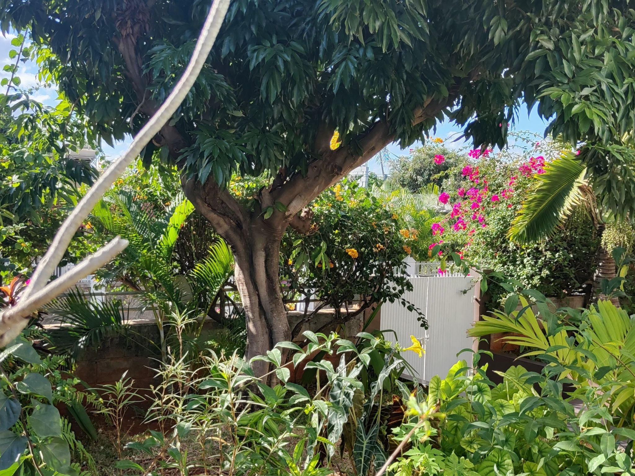 Photo of r garden Pointe aux sables