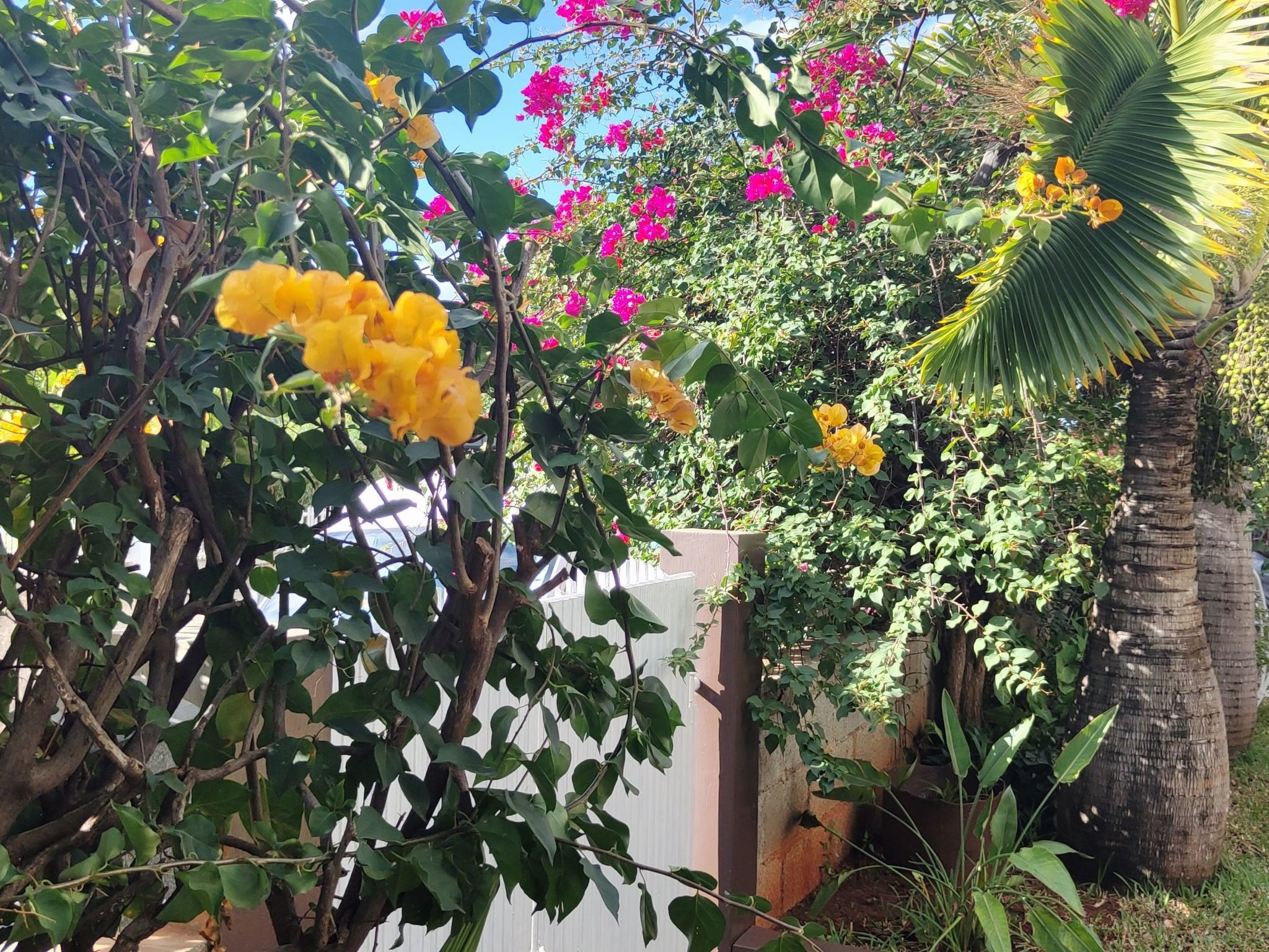 Photo of r garden Pointe aux sables