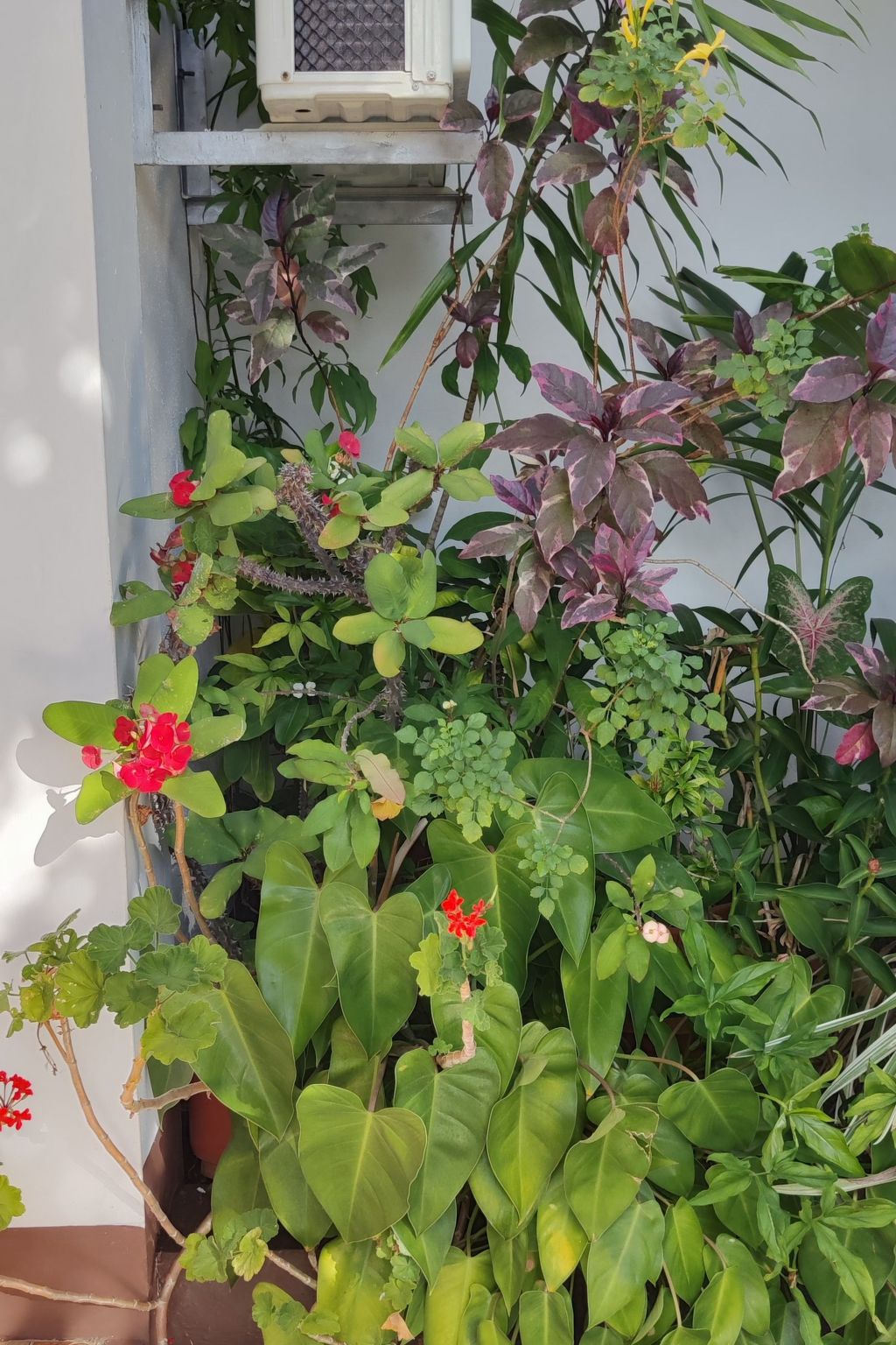 Photo of r garden Pointe aux sables