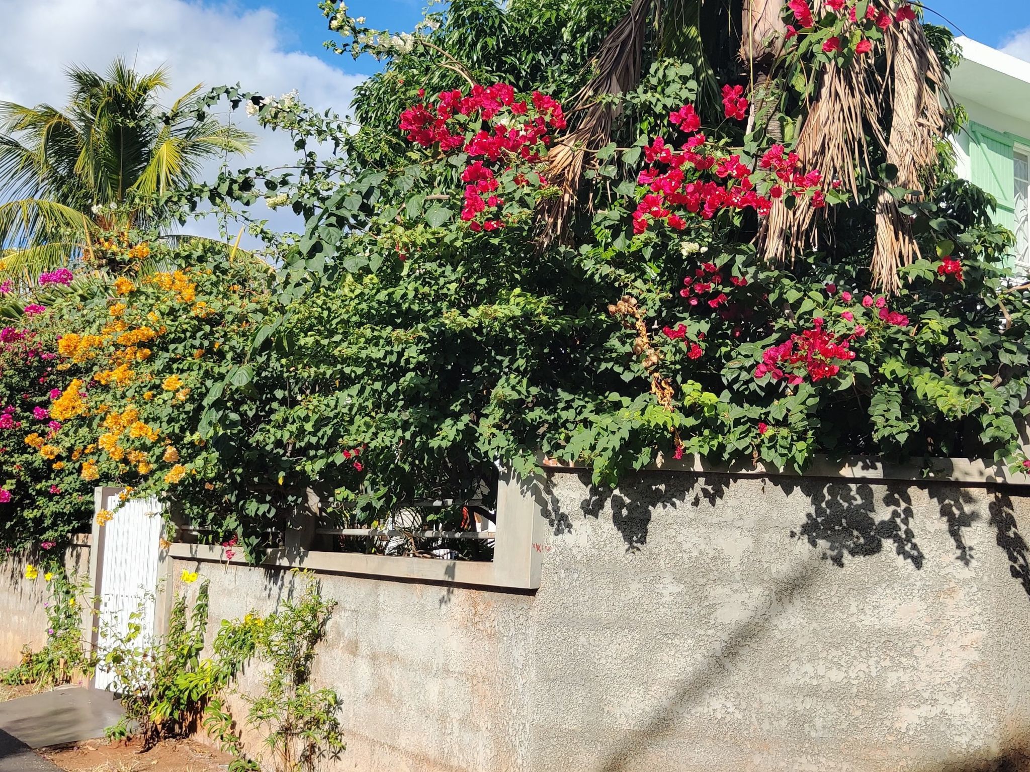 Photo of r garden Pointe aux sables