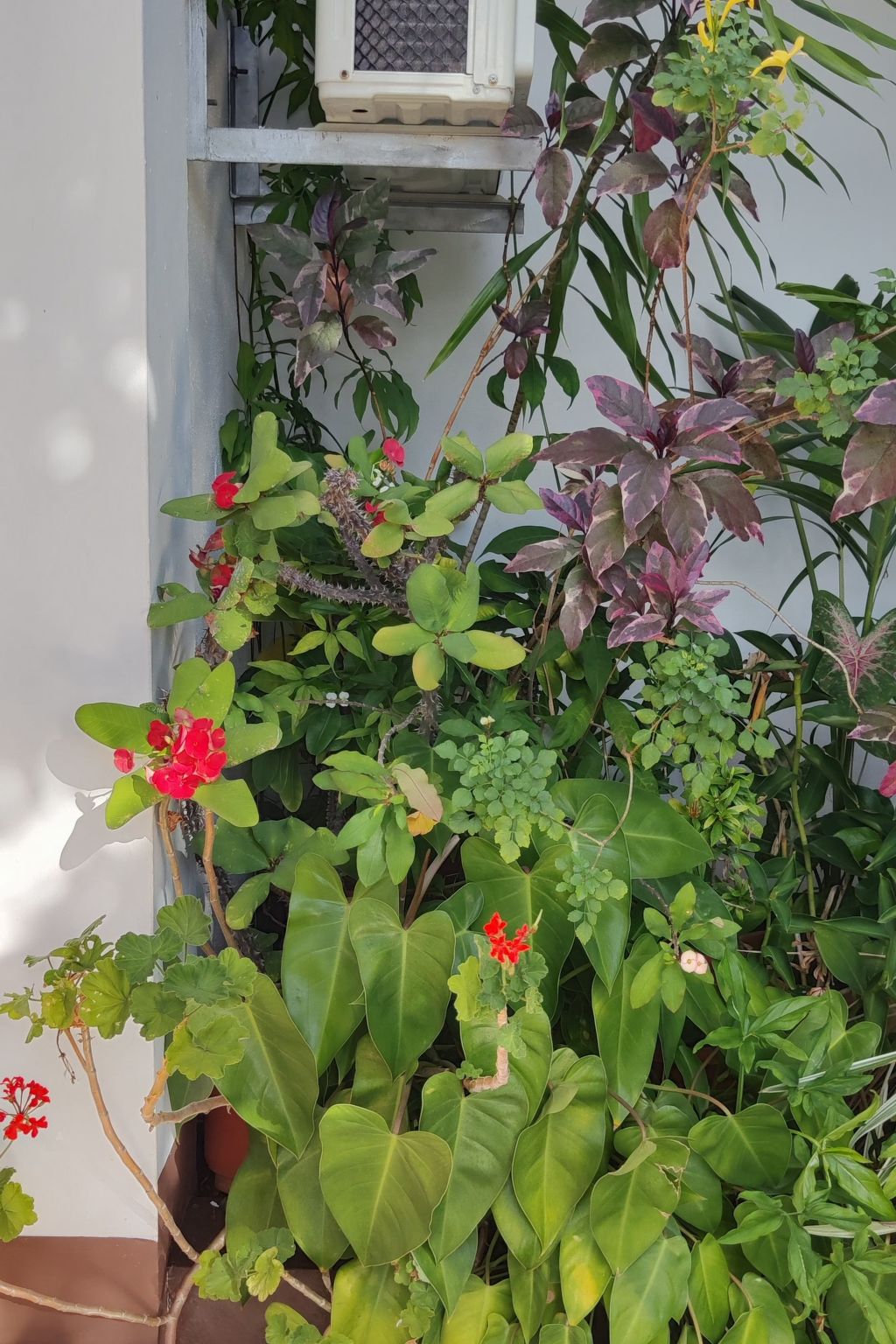 Photo of r garden Pointe aux sables