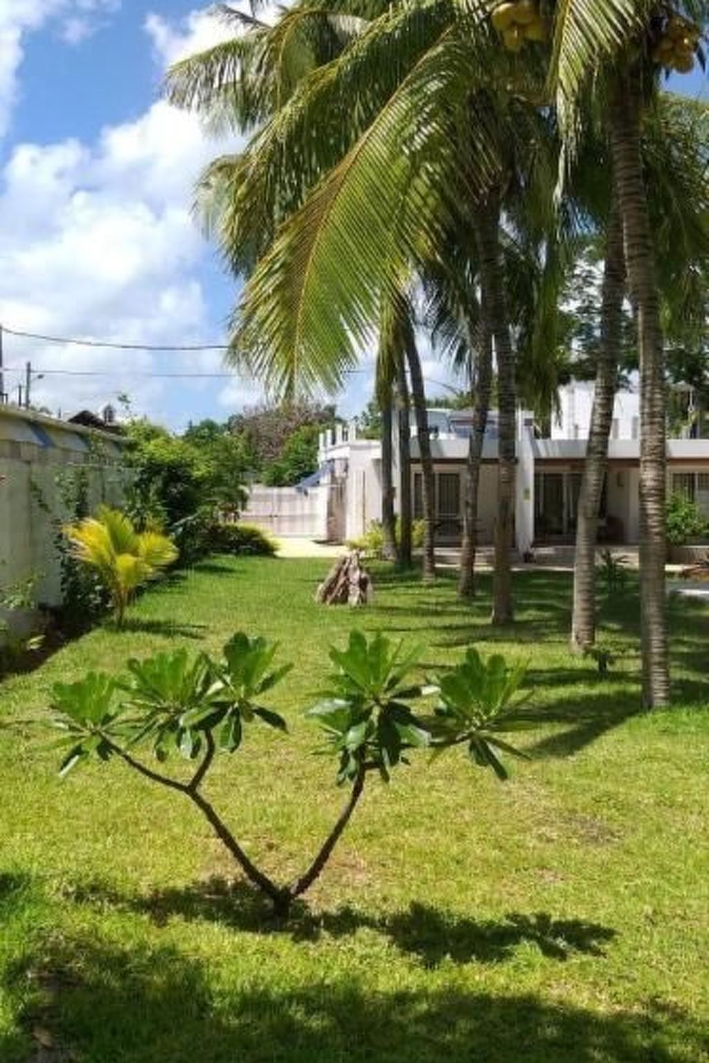 Photo of in Roches Noires mit Großem Garten