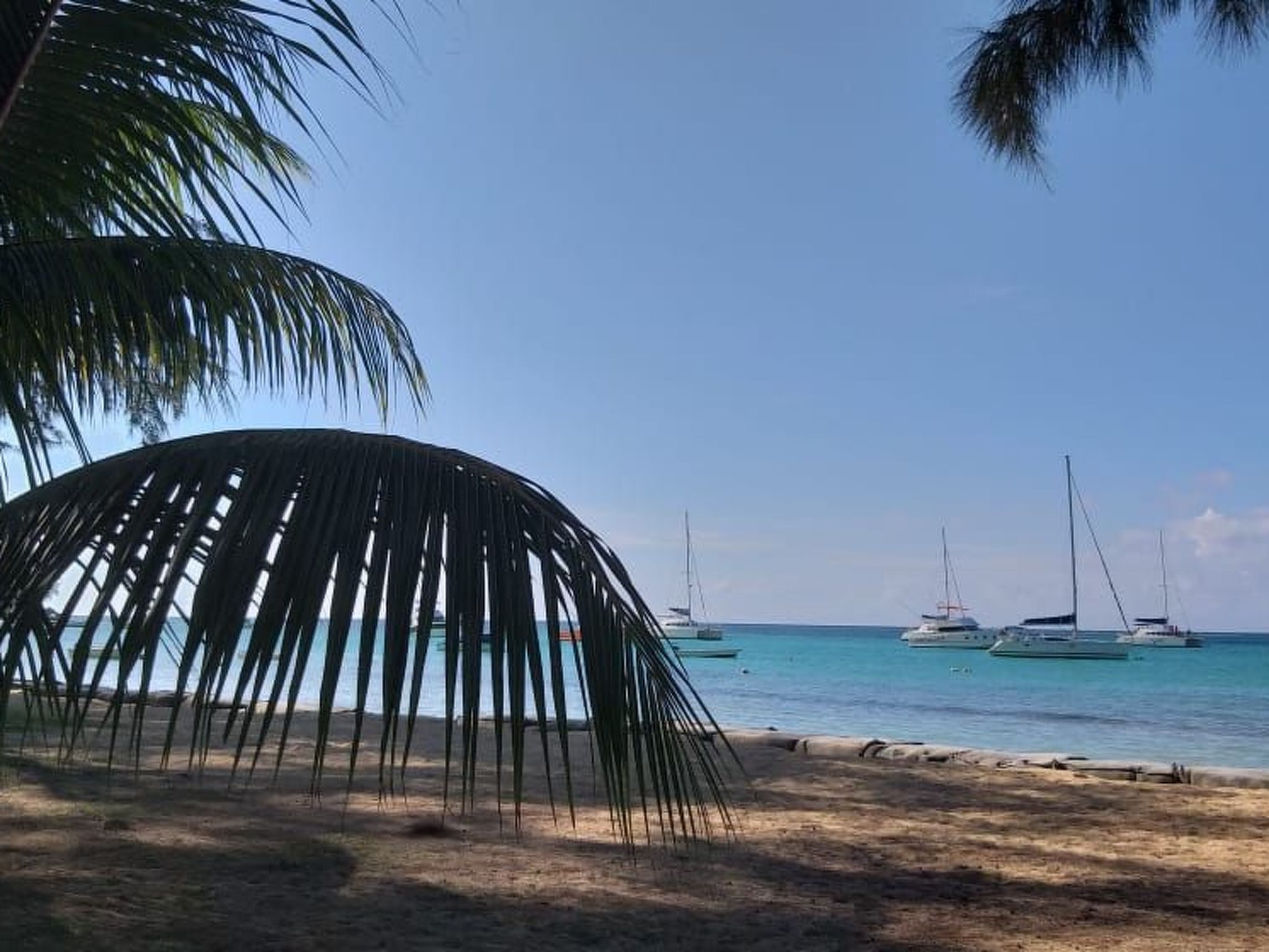 Photo of in Roches Noires mit Großem Garten