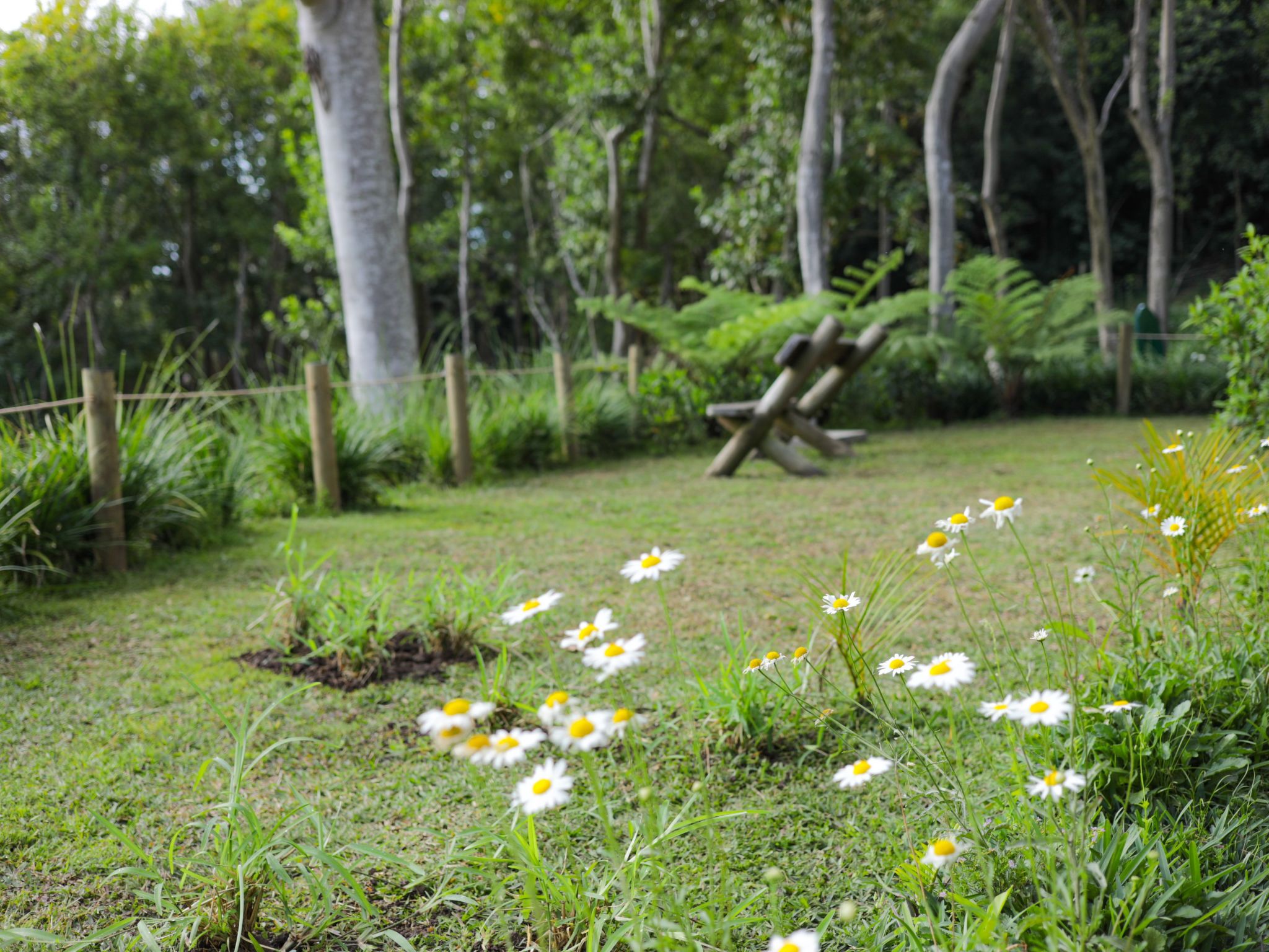 Photo of Green Cottage Chamarel