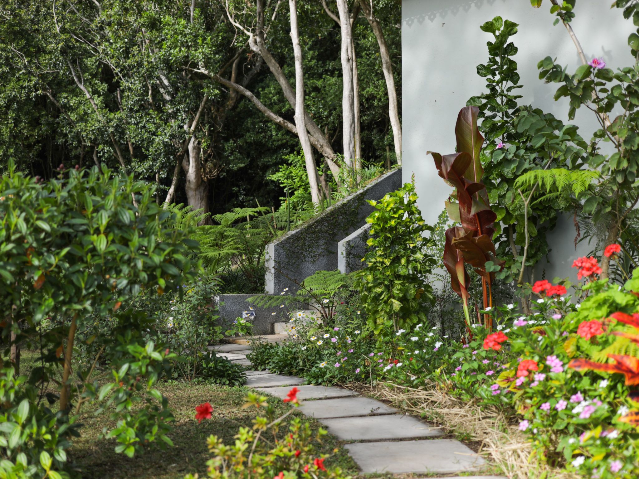 Photo of Green Cottage Chamarel