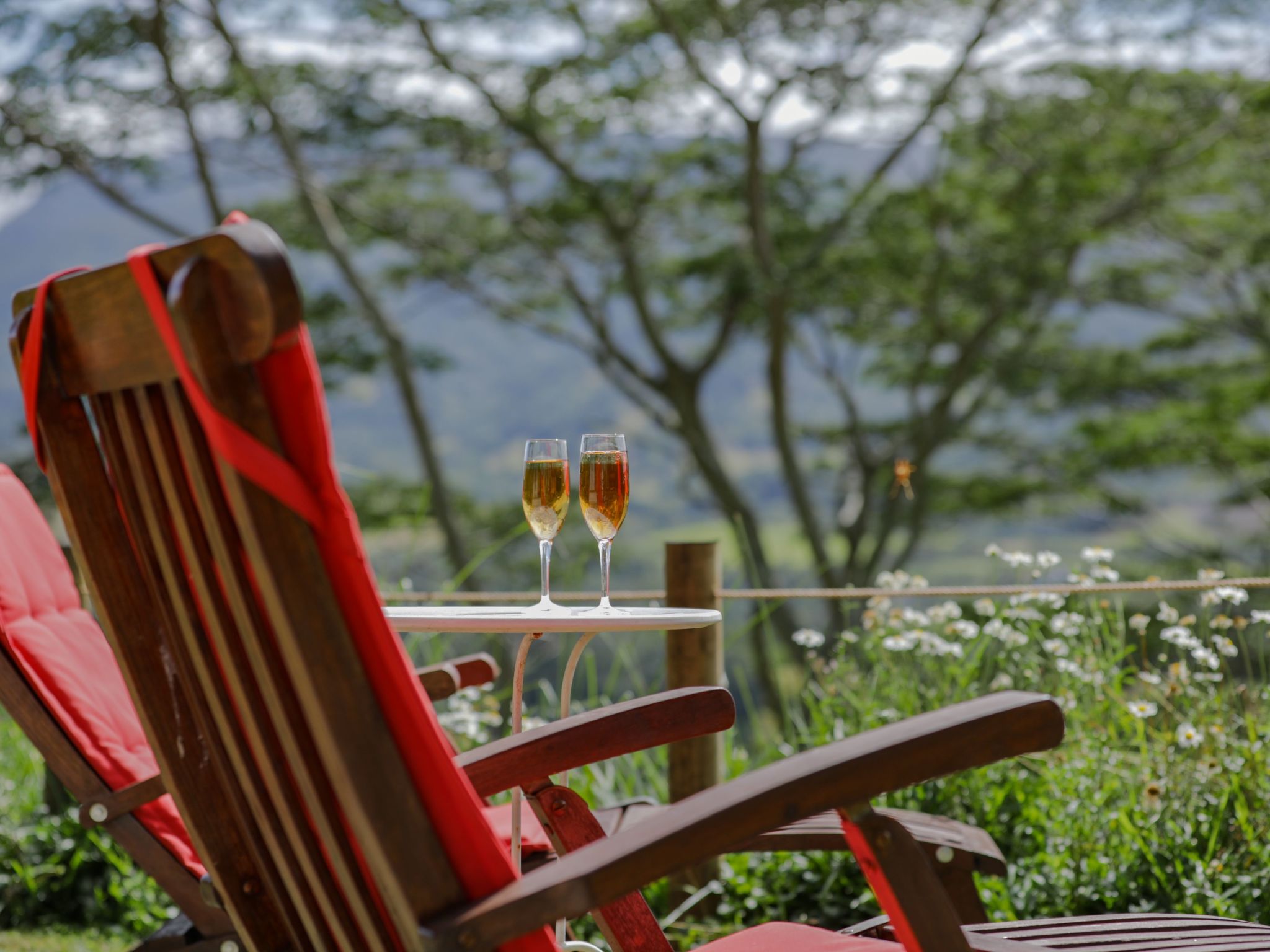 Photo of Green Cottage Chamarel