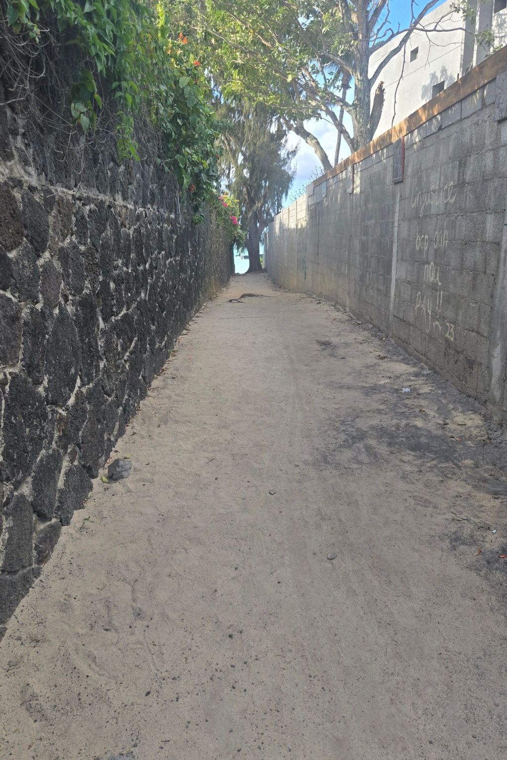 Photo of Wohnung "La Residence Apt23"