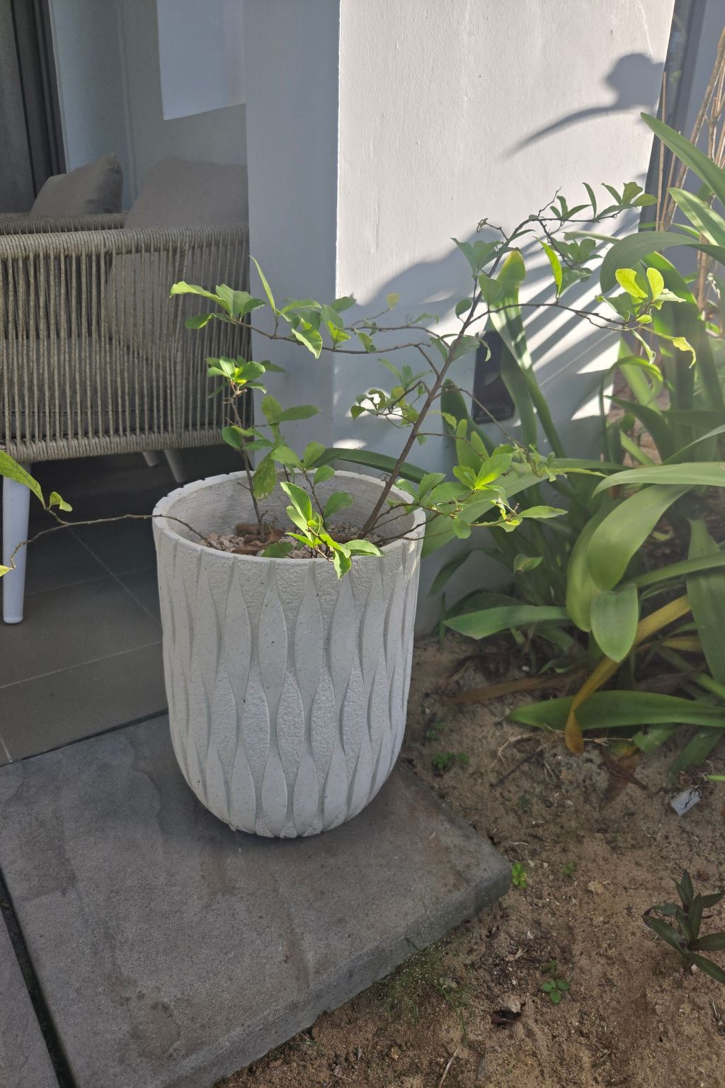 Photo of Wohnung "La Residence Apt23"