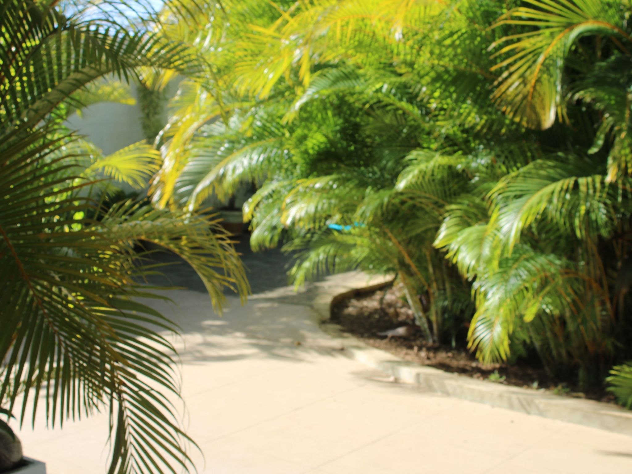 Photo of VIllakapy Ideal für Rentnerinnen und Rentner