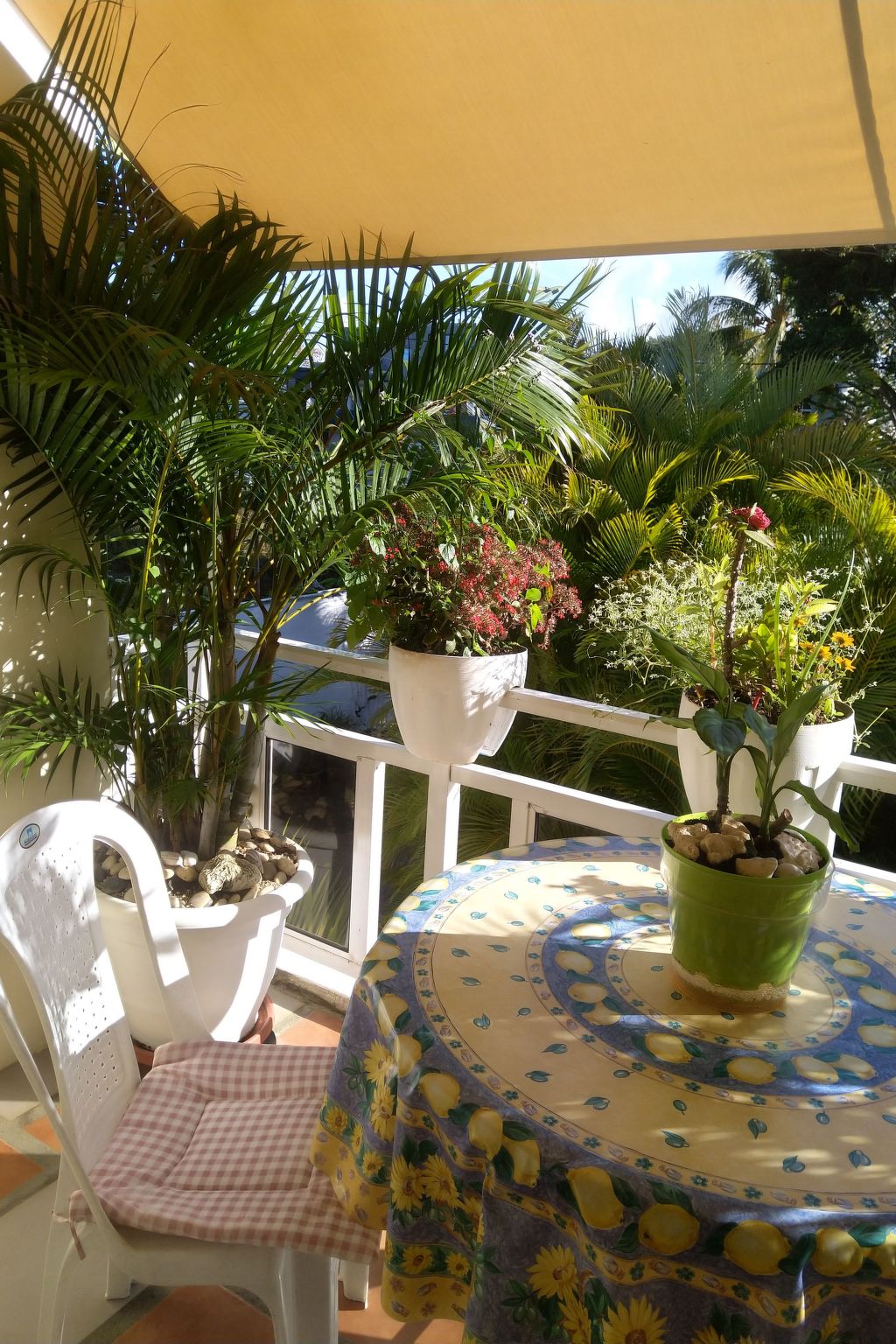 Photo of VIllakapy Ideal für Rentnerinnen und Rentner