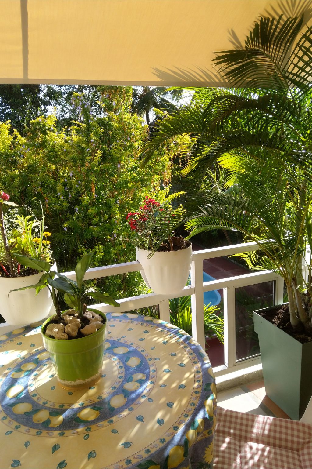 Photo of VIllakapy Ideal für Rentnerinnen und Rentner