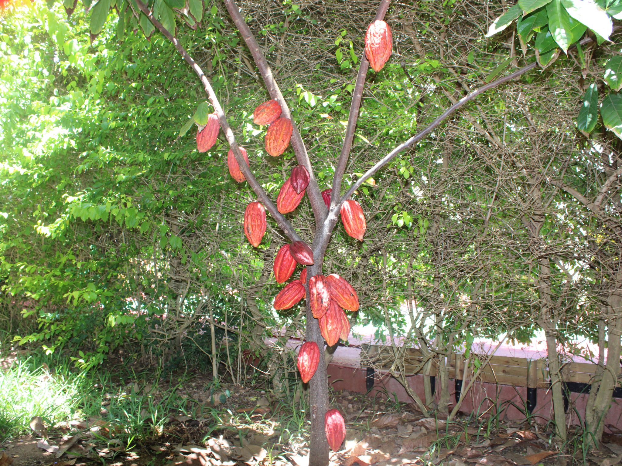 Photo of VIllakapy Ideal für Rentnerinnen und Rentner