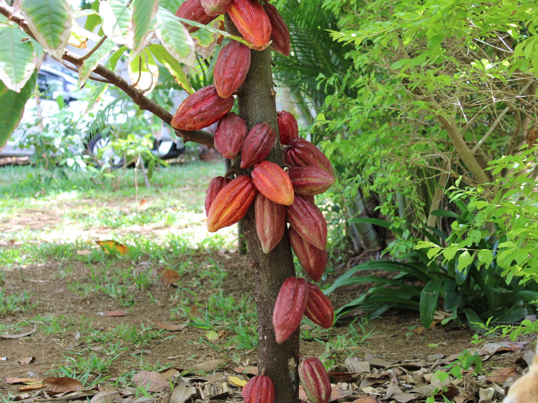 Photo of VIllakapy Ideal für Rentnerinnen und Rentner