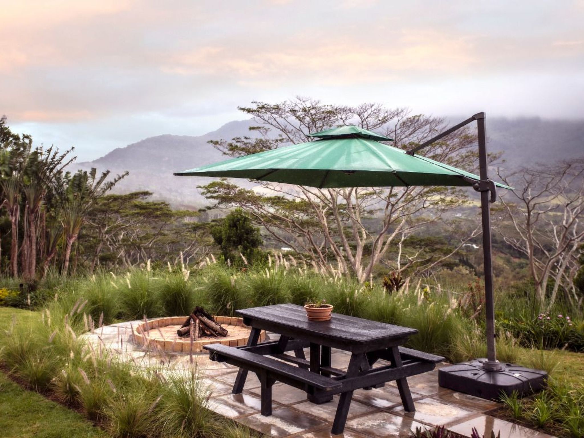 Photo of Mussaenda-Hütte