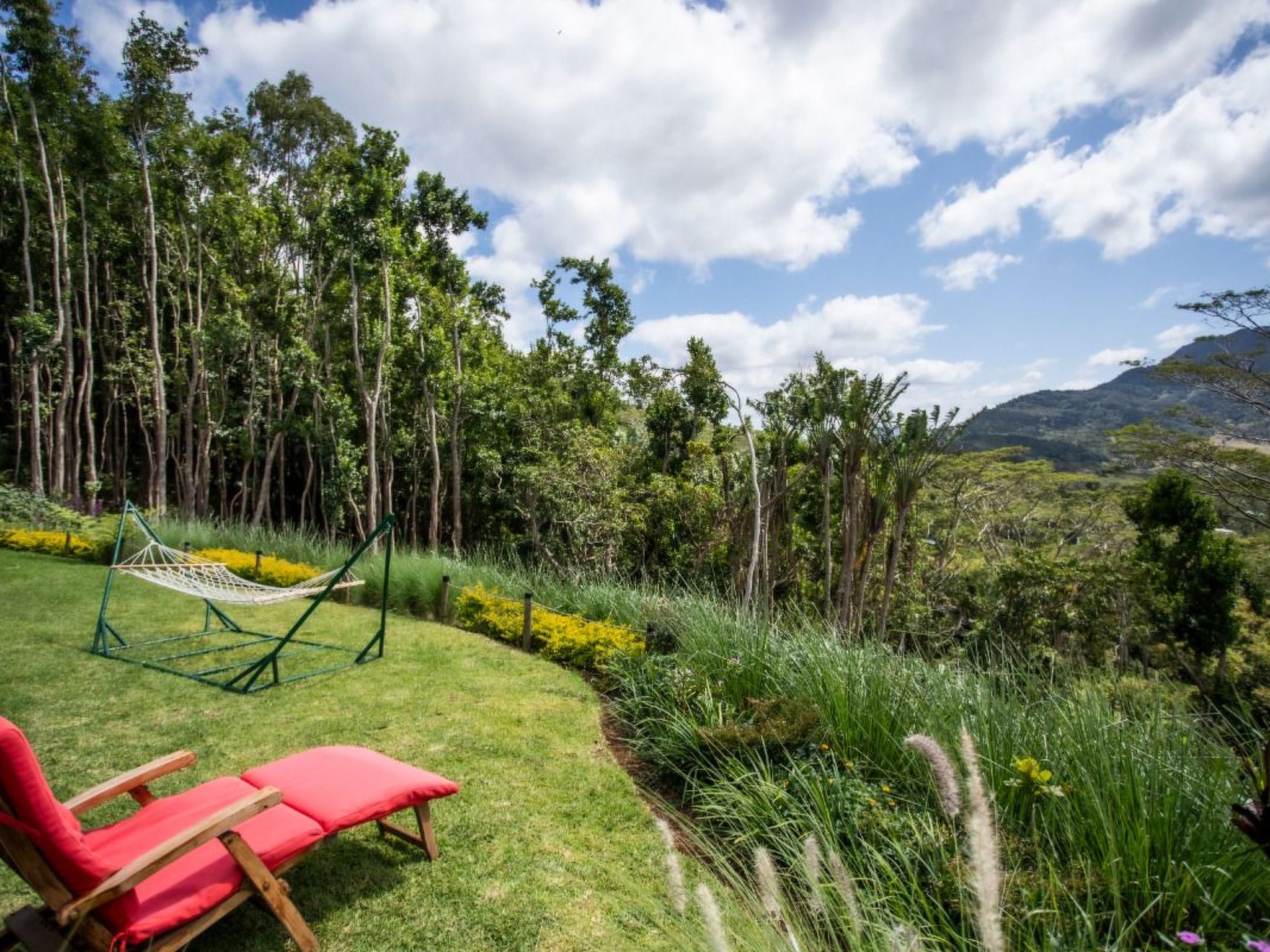 Photo of Mussaenda-Hütte