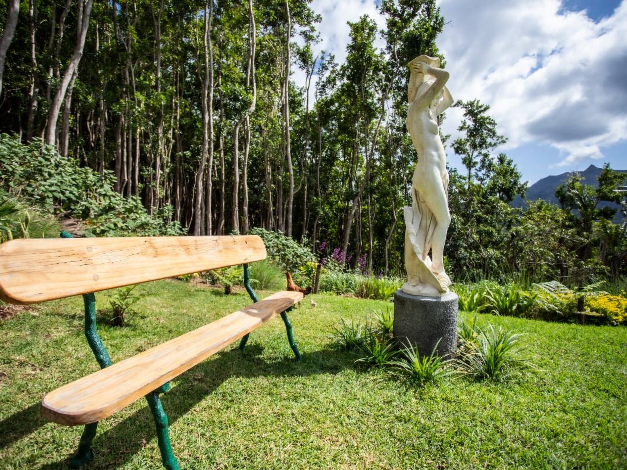 Photo of Mussaenda-Hütte