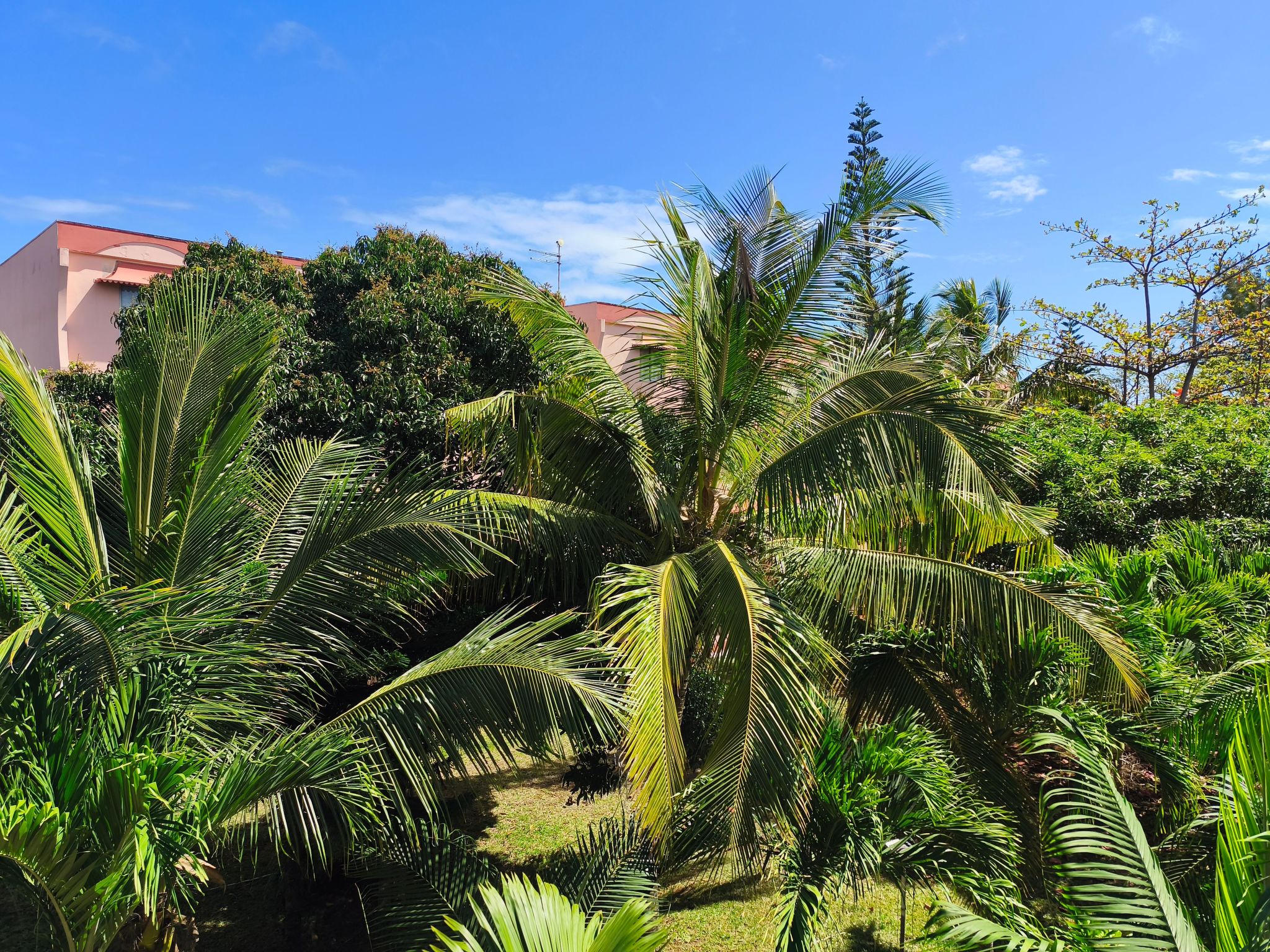 Photo of R Garden Fleury Sur Mer Trou aux Biches
