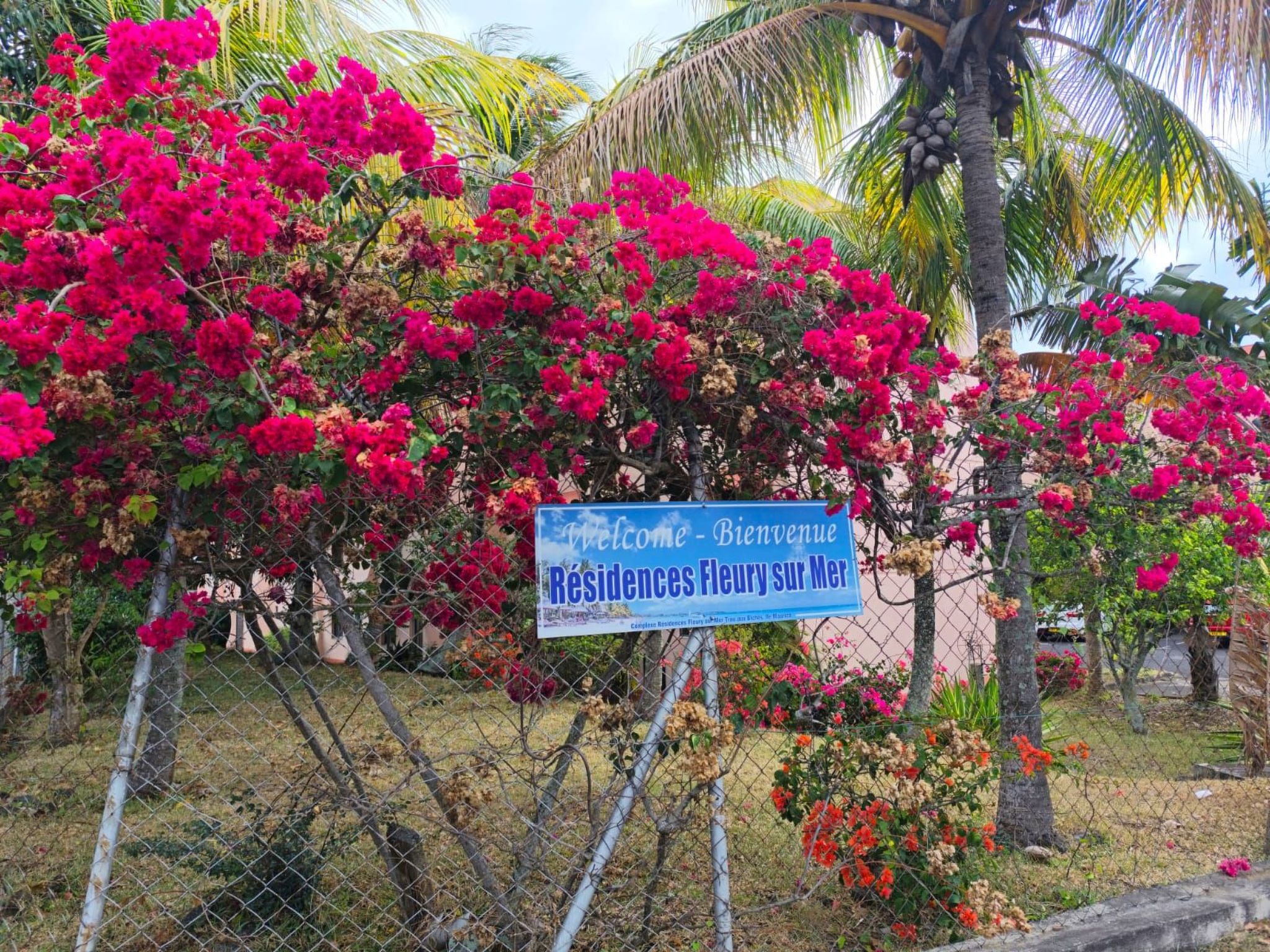 Photo of R Garden Fleury Sur Mer Trou aux Biches