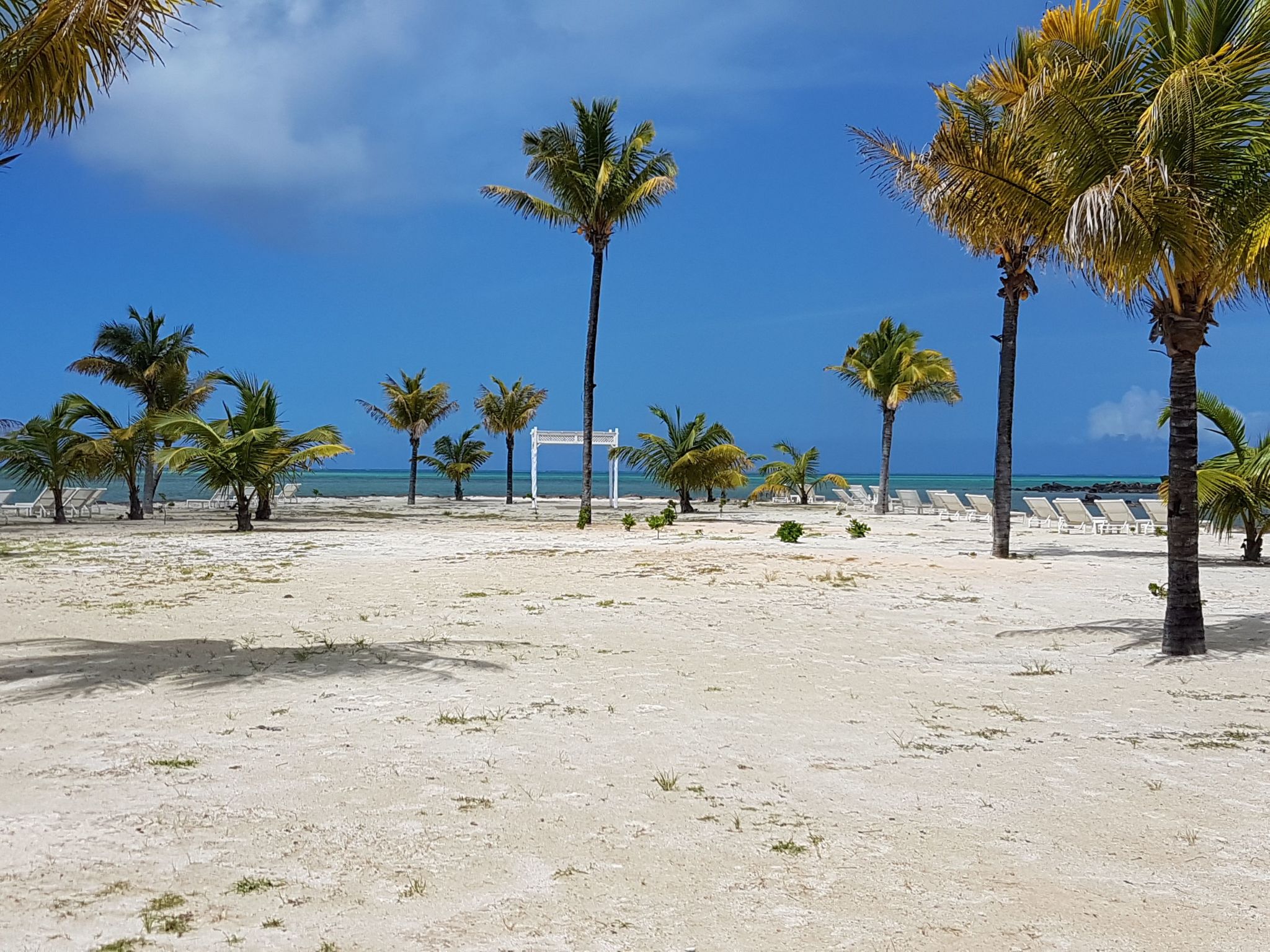 Photo of Wohnung in Rivière Du Rempart mit Gemeinschaftspool