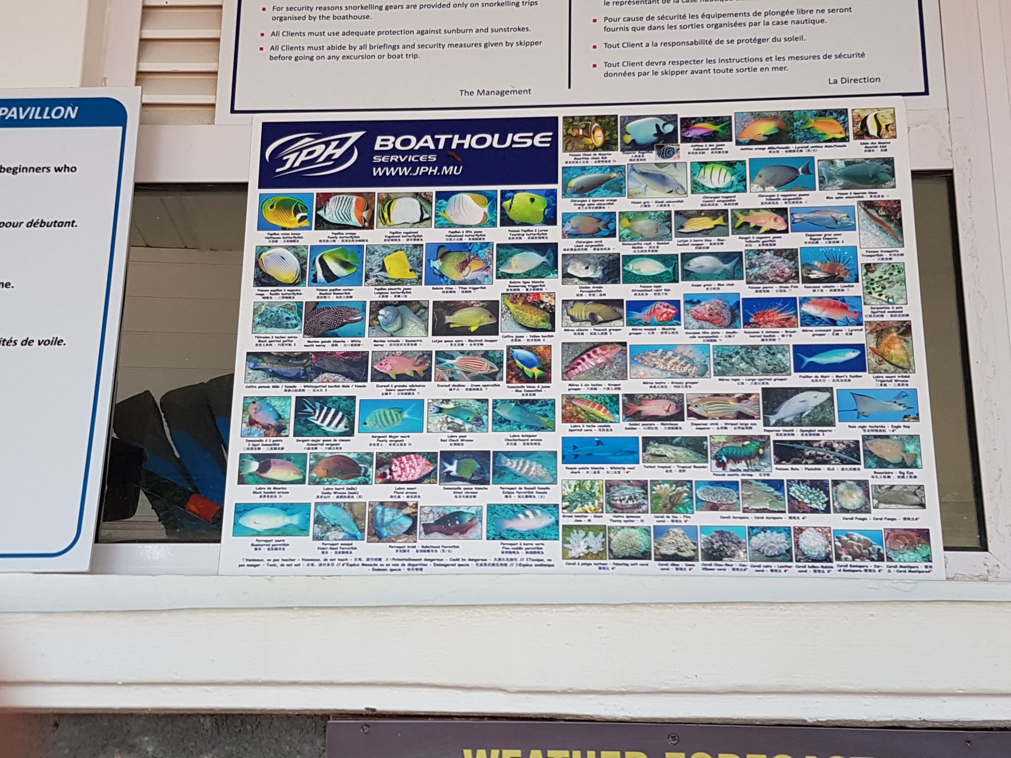 Photo of Wohnung in Rivière Du Rempart mit Gemeinschaftspool