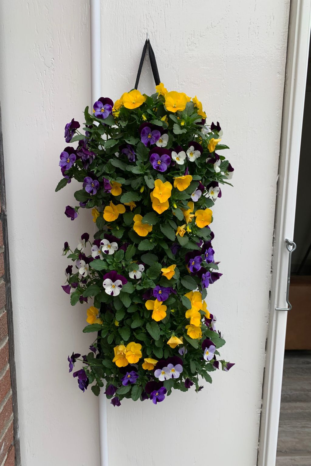 Zaandam in der Nähe aller niederländischen Sehenswürdigkeiten-Binnen