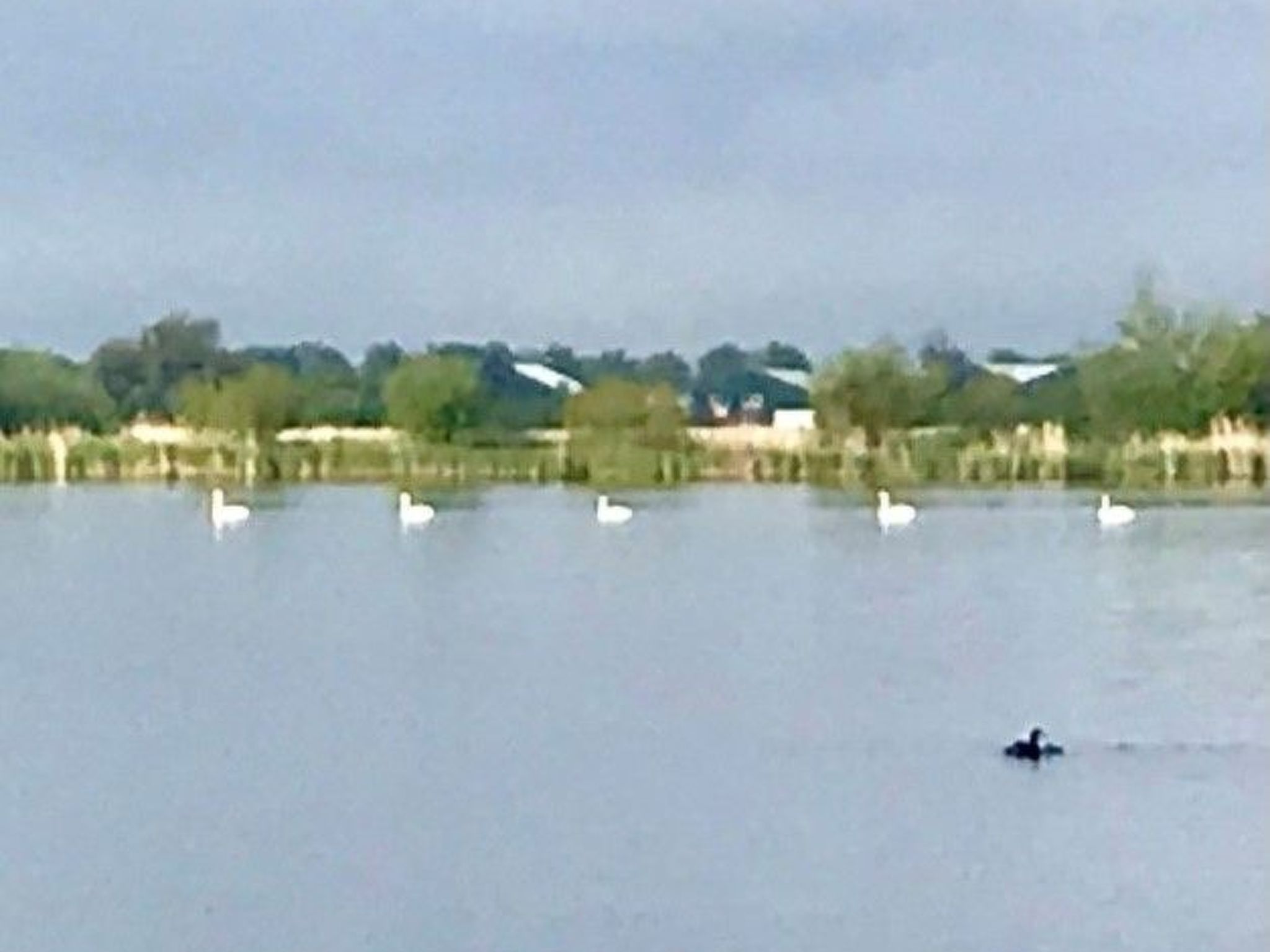 In Wervershoof mit Terrasse und Garten-Image-tags.info