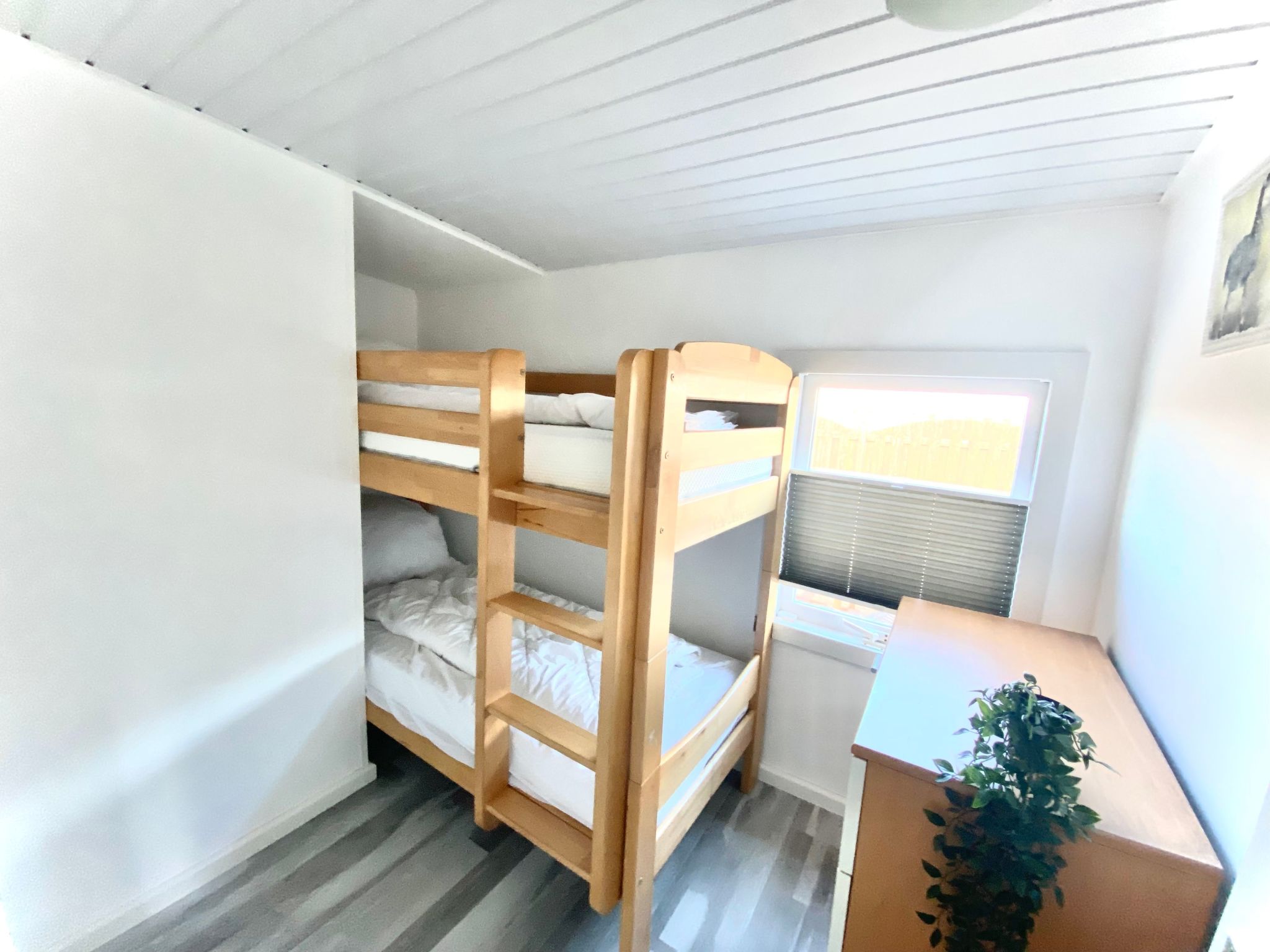 Isabella-Image-tags.info