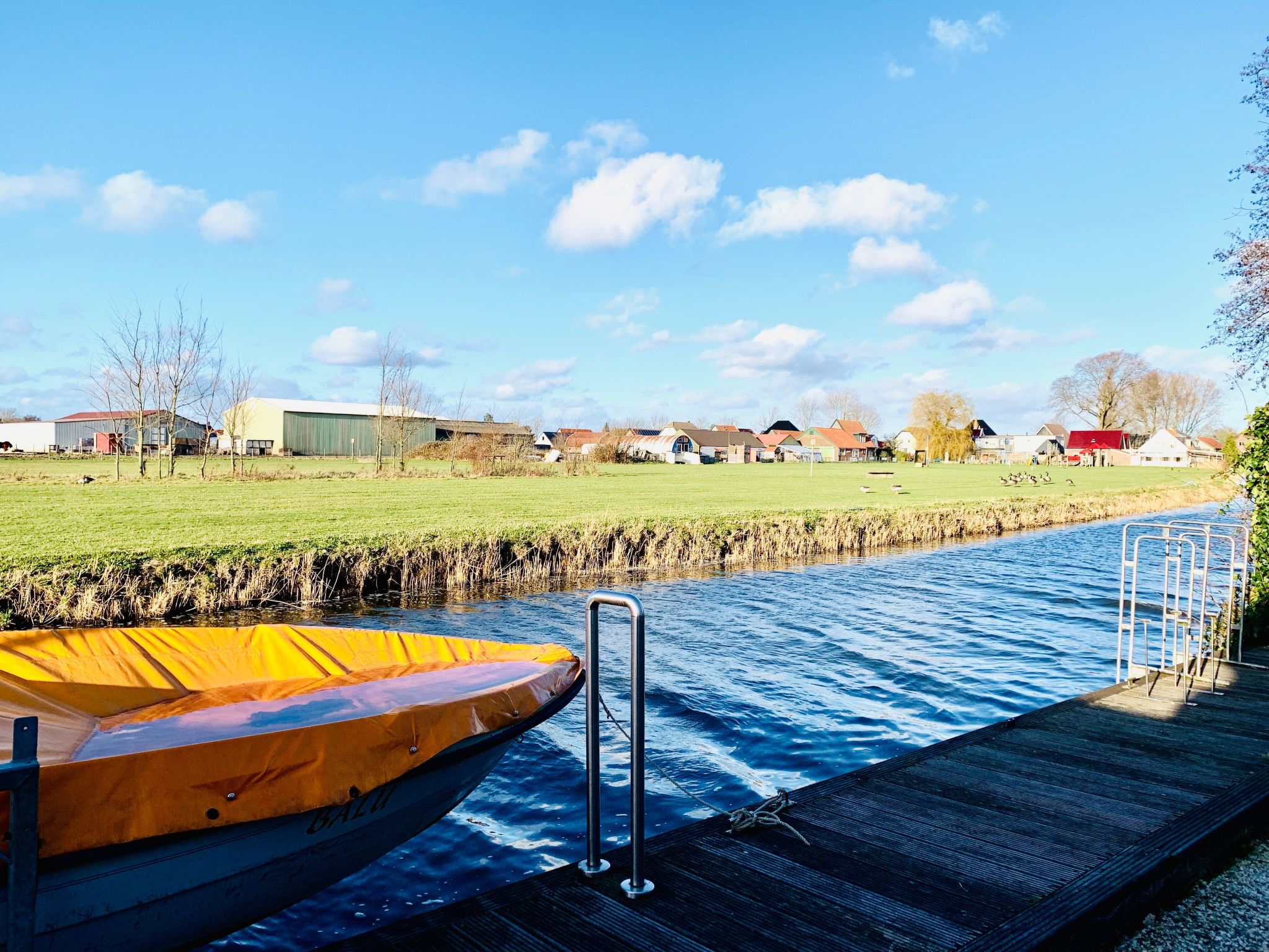 Balu-Image-tags.info