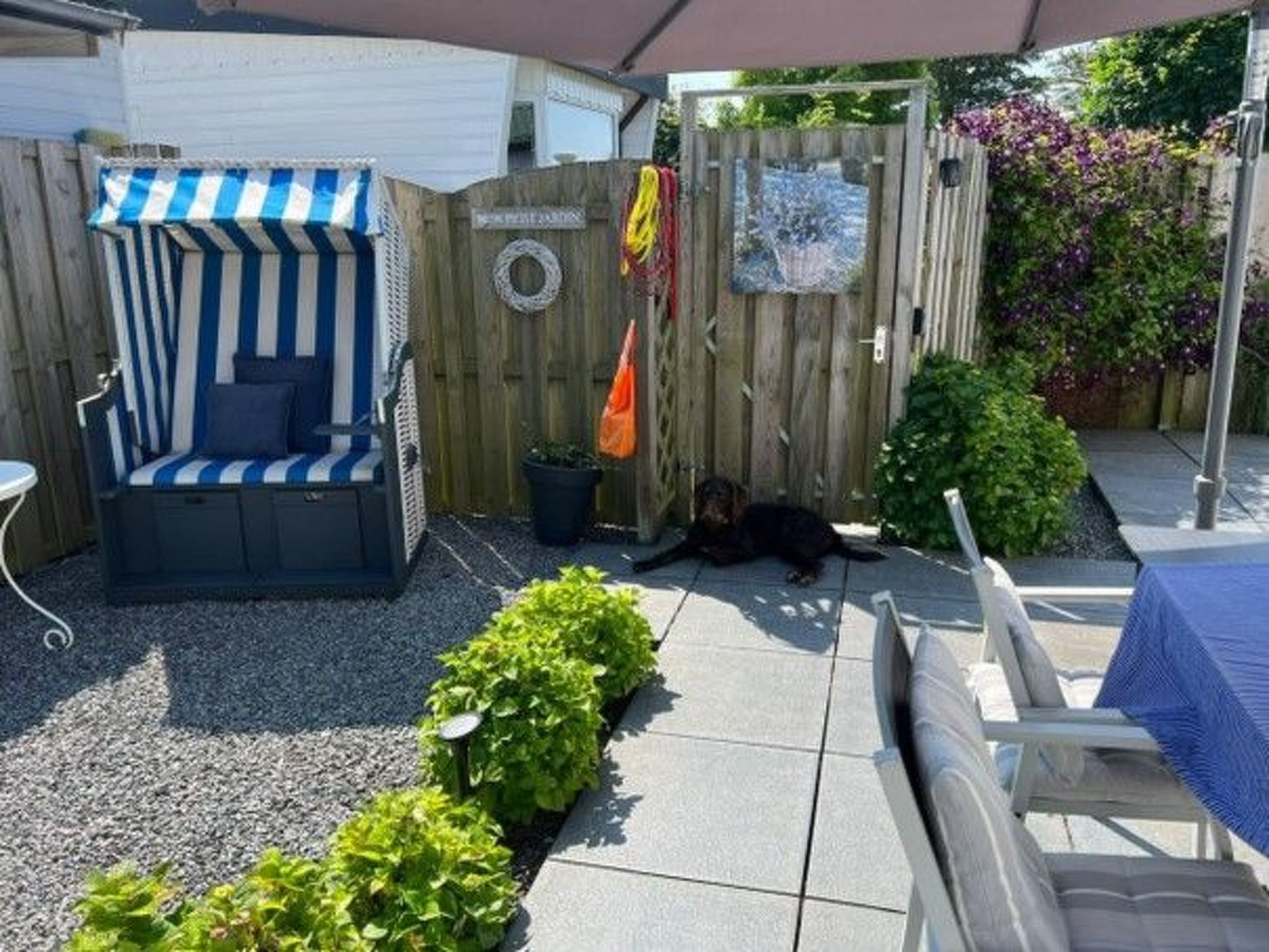 Tami-Image-tags.info