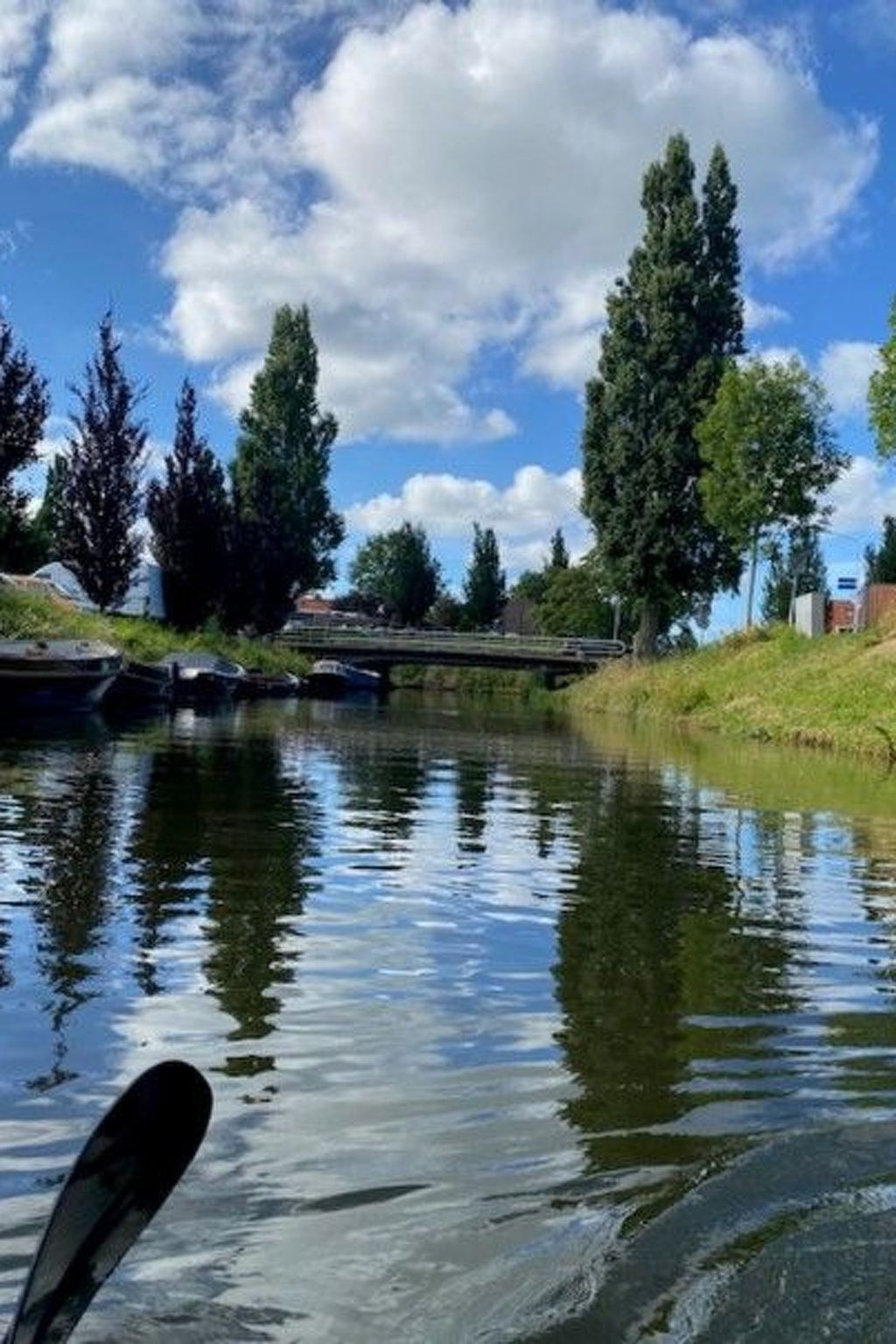 Tami-Image-tags.info