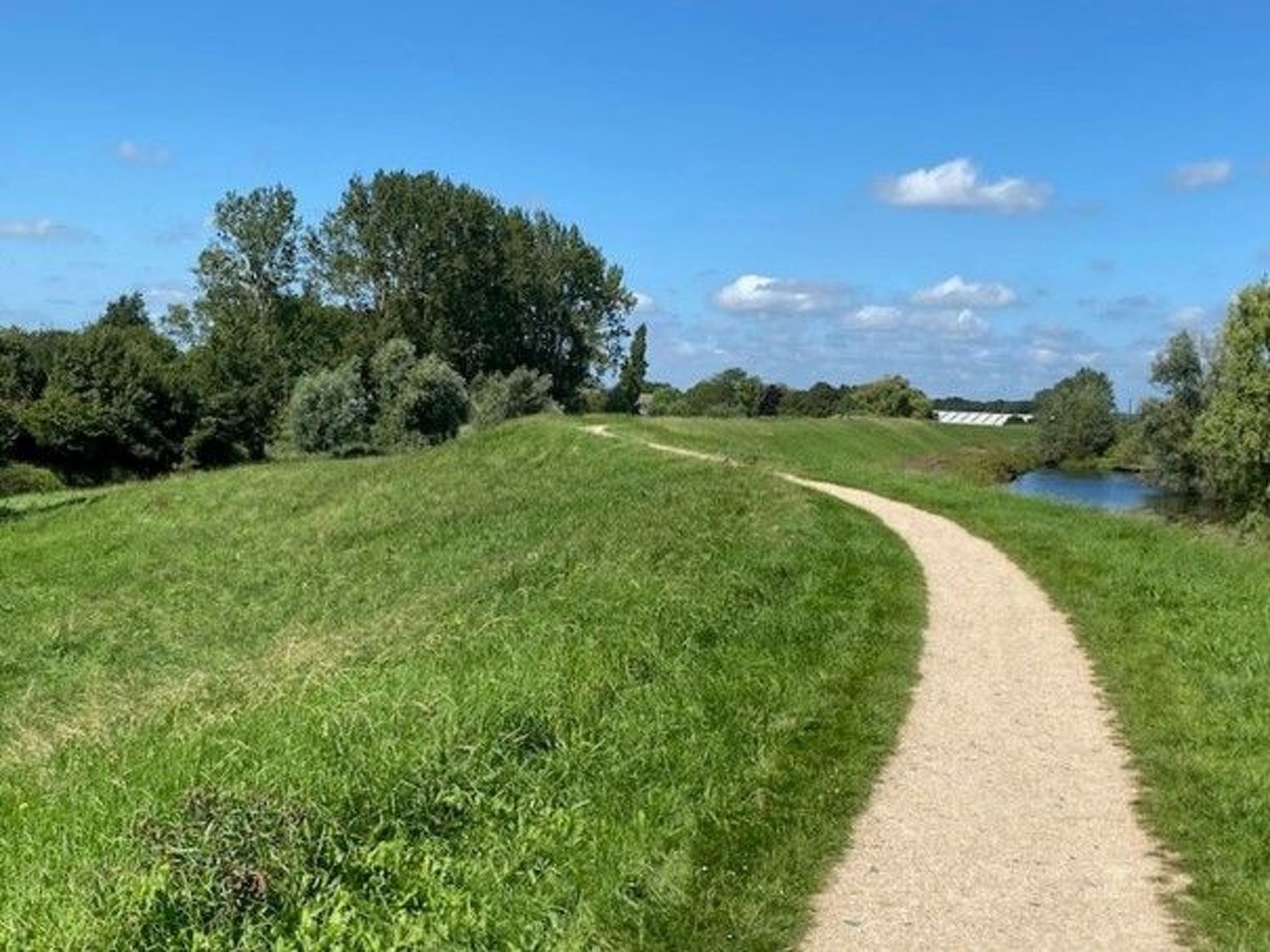 Tami-Image-tags.info