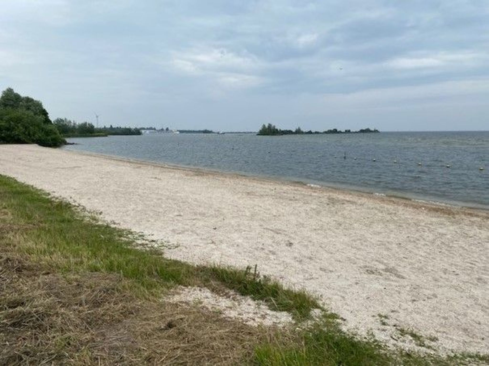 Tami-Image-tags.info