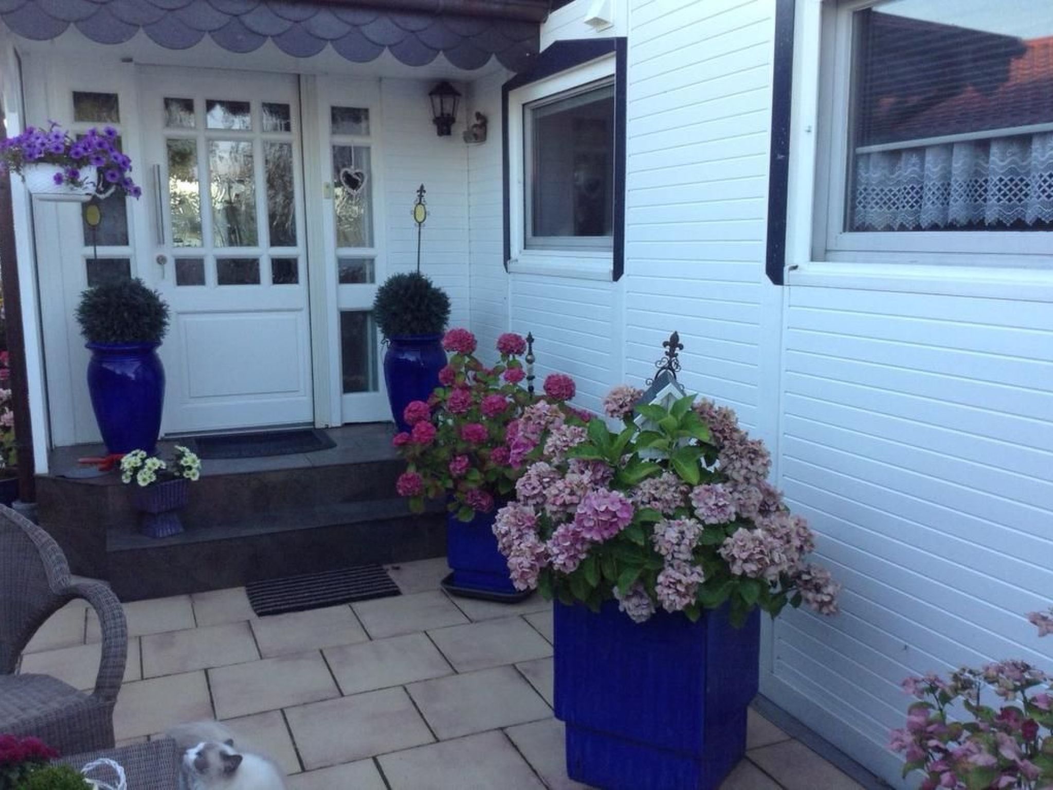 Direkt am See-Binnen