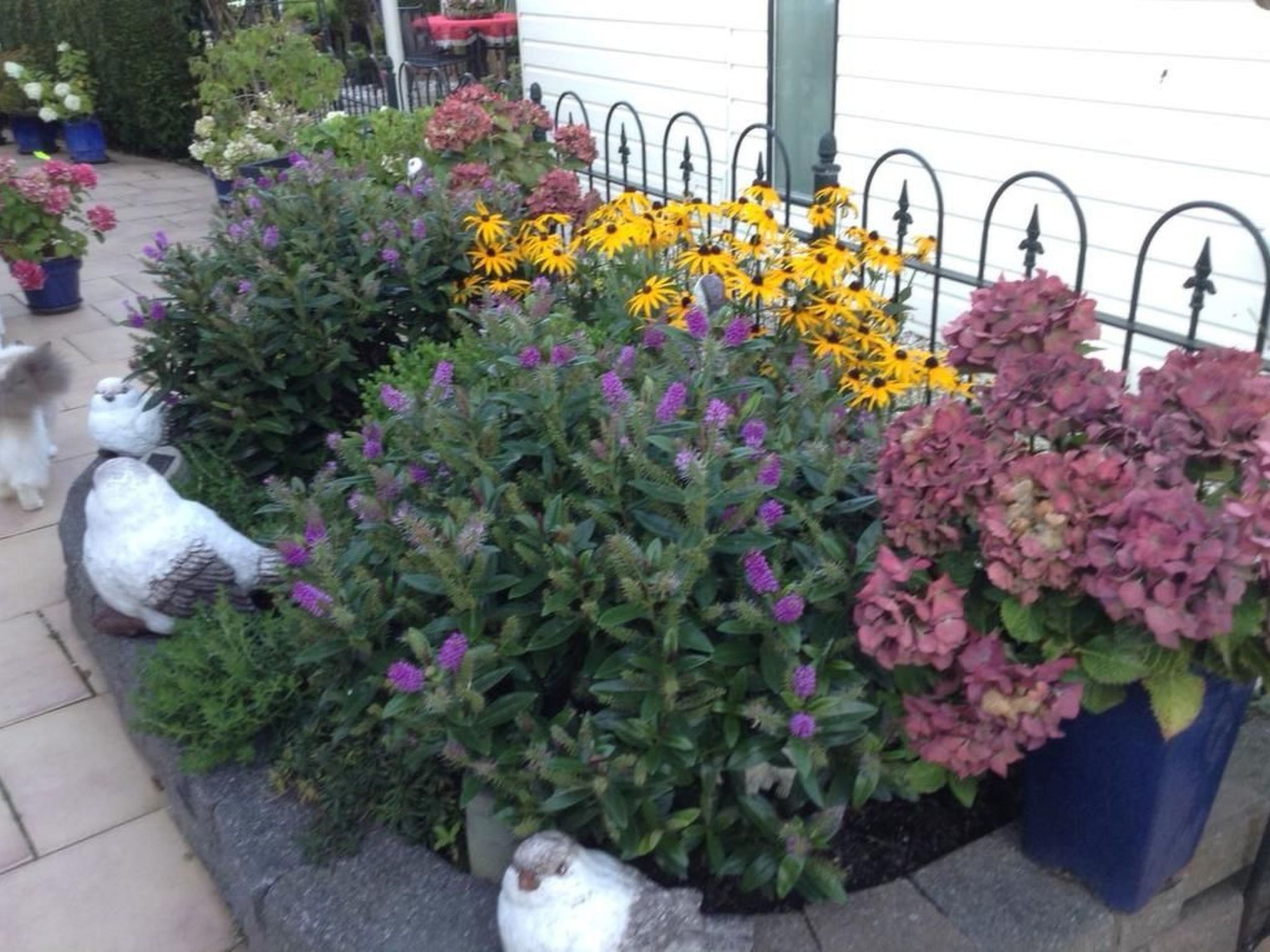 Direkt am See-Binnen