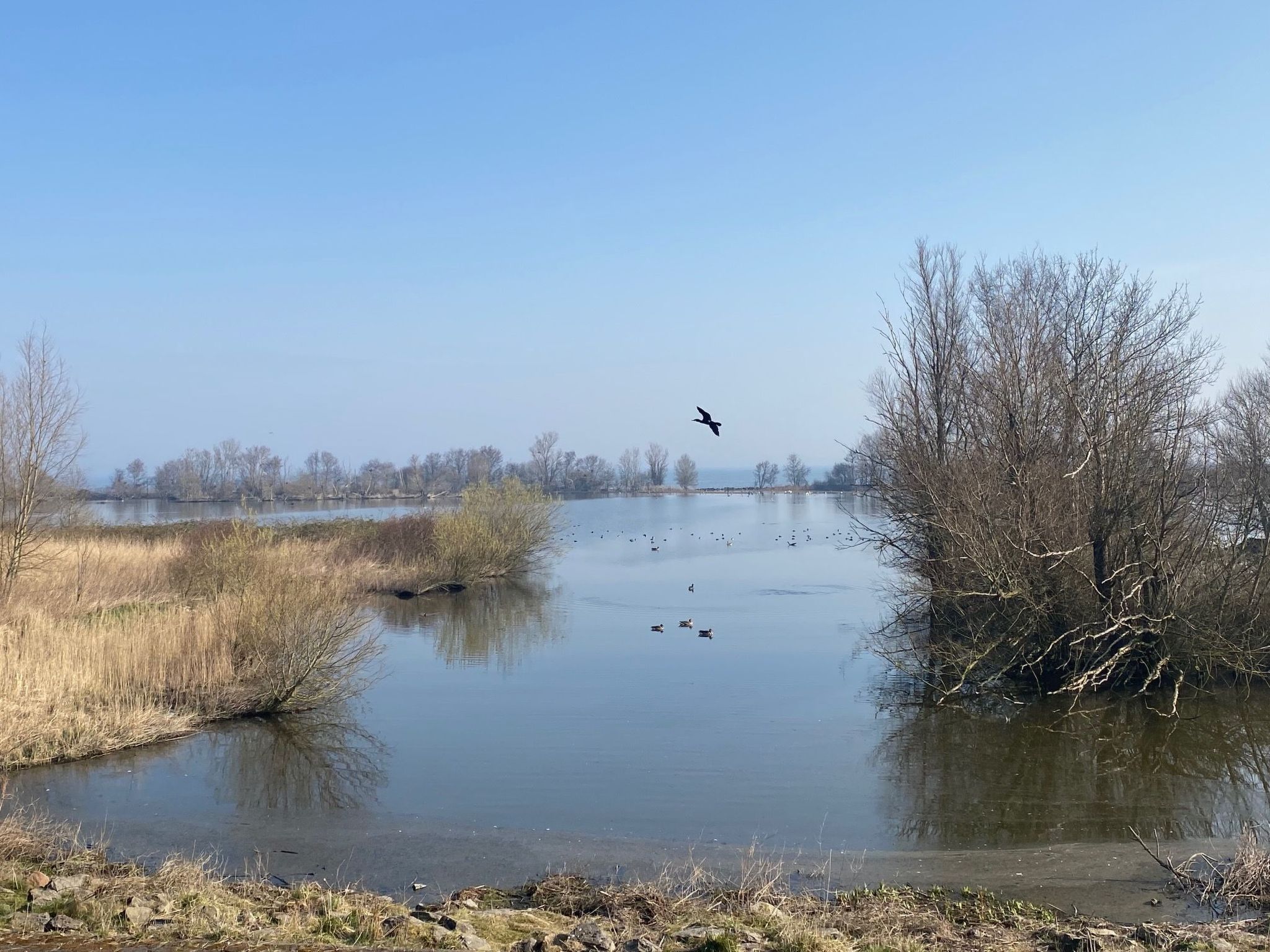 Haus Good Times-Image-tags.info