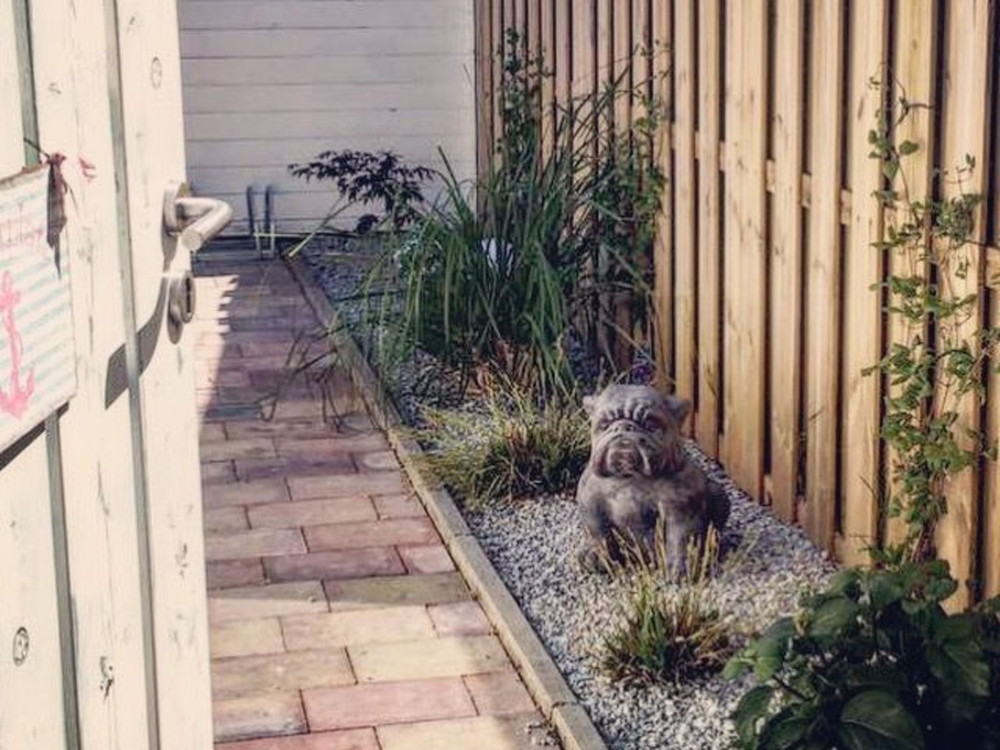 St. Pauli-Image-tags.info