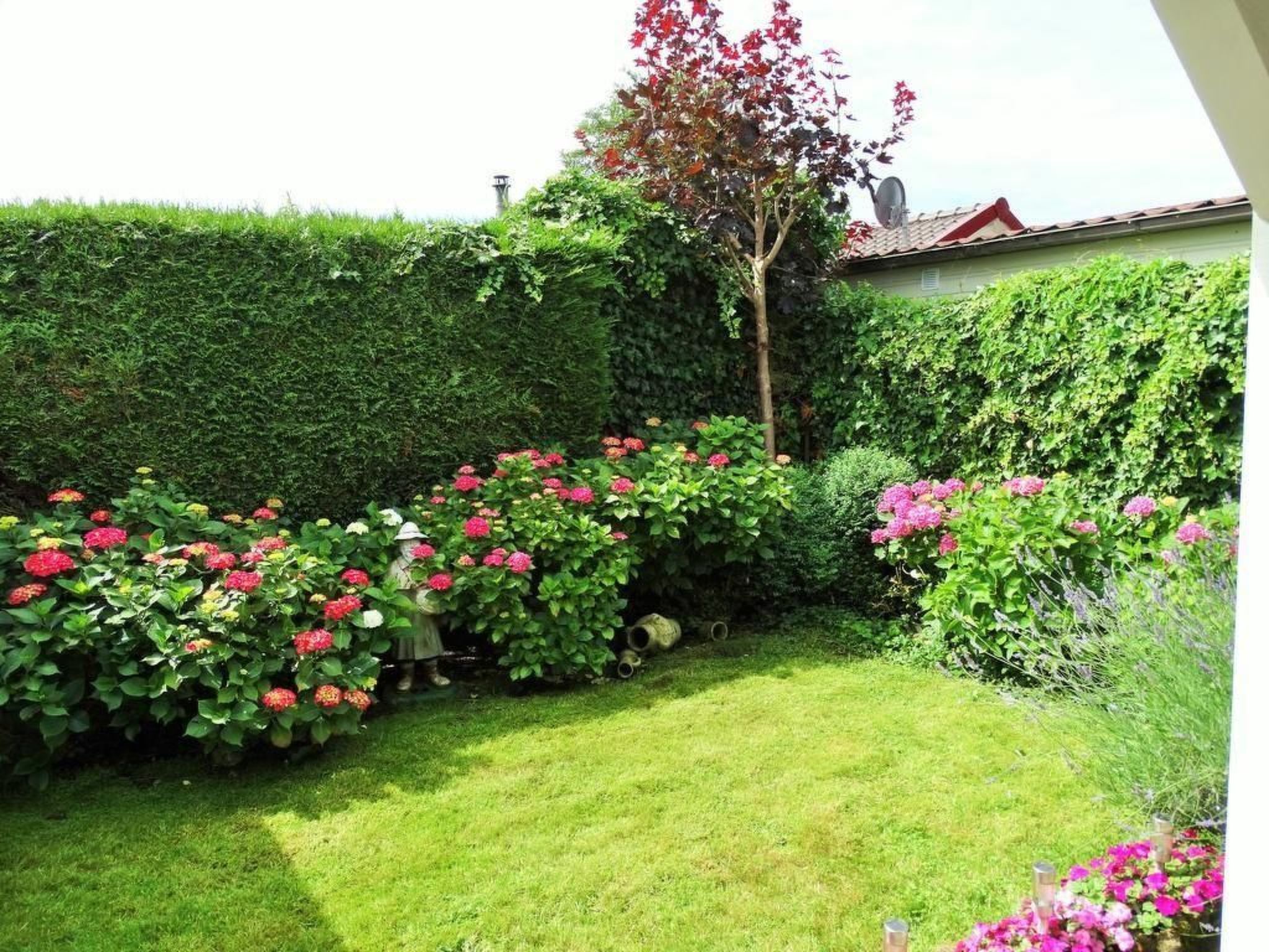 Luna-Image-tags.info